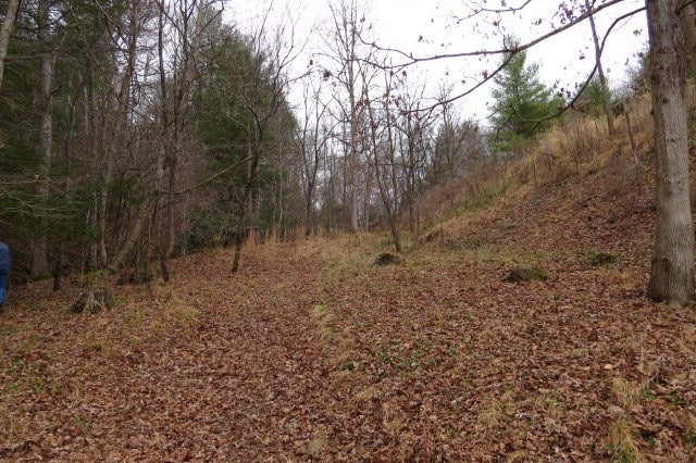 Tbd Pridemoore Road, Unit 2 Galax, VA 24333 - Photo 27 of 72 Gallery Image 27