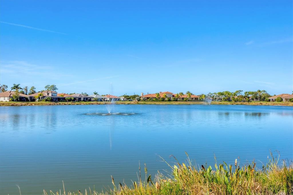 11516 Renaissance Boulevard Venice, FL 34293 - Photo 41 of 94