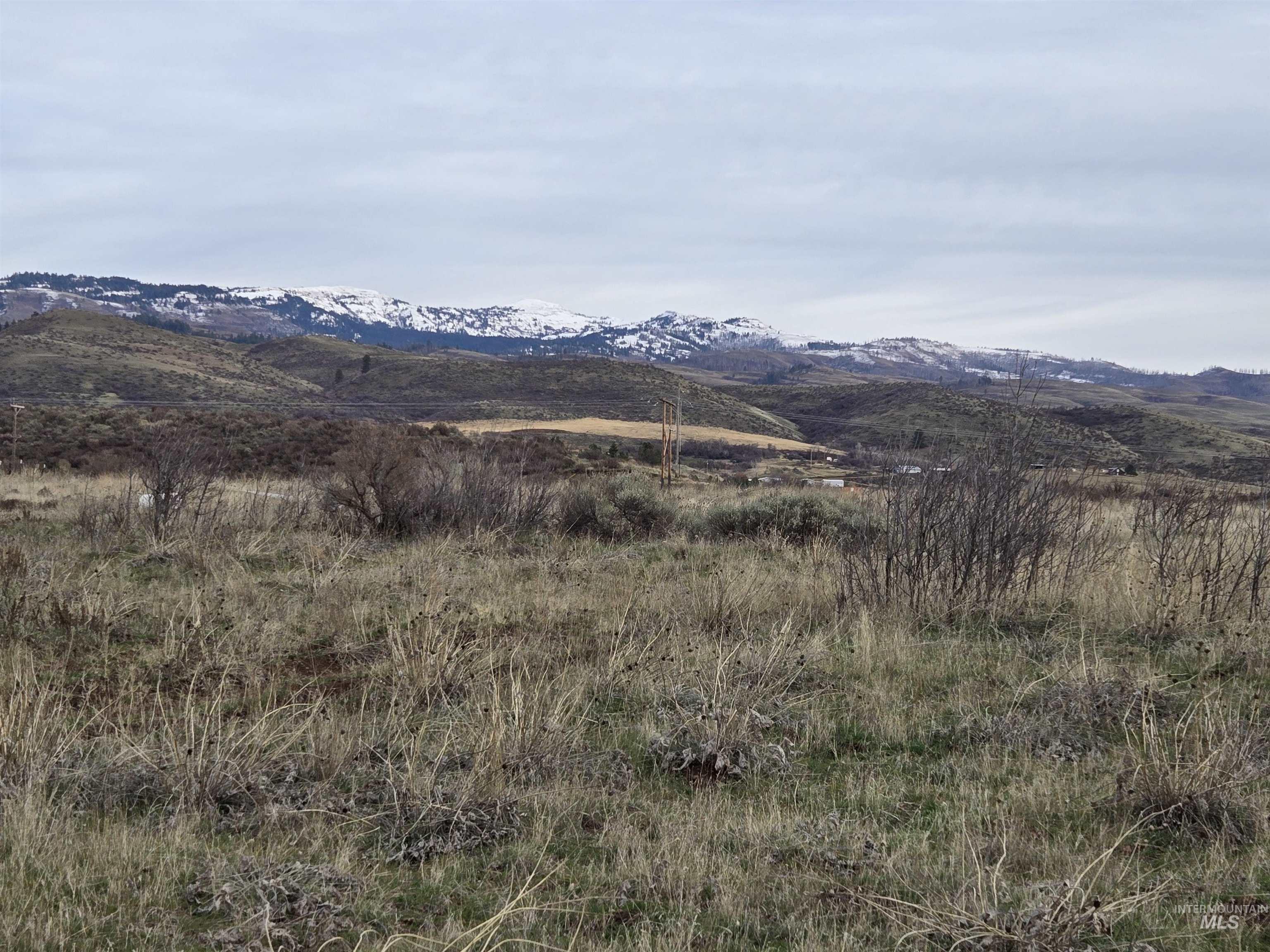 95 Council Id 83612 Council, ID 83612 - Photo 7 of 11 Beautiful Idaho setting with open range, rolling hills, and snow-tipped mountains in the distance. Peaceful views in every direction, offering prime ground for grazing, recreation, or a future homesite.