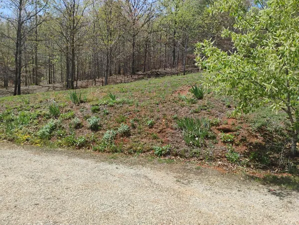 $475,000 | 4183 Tye River Road, Amherst, VA 24521