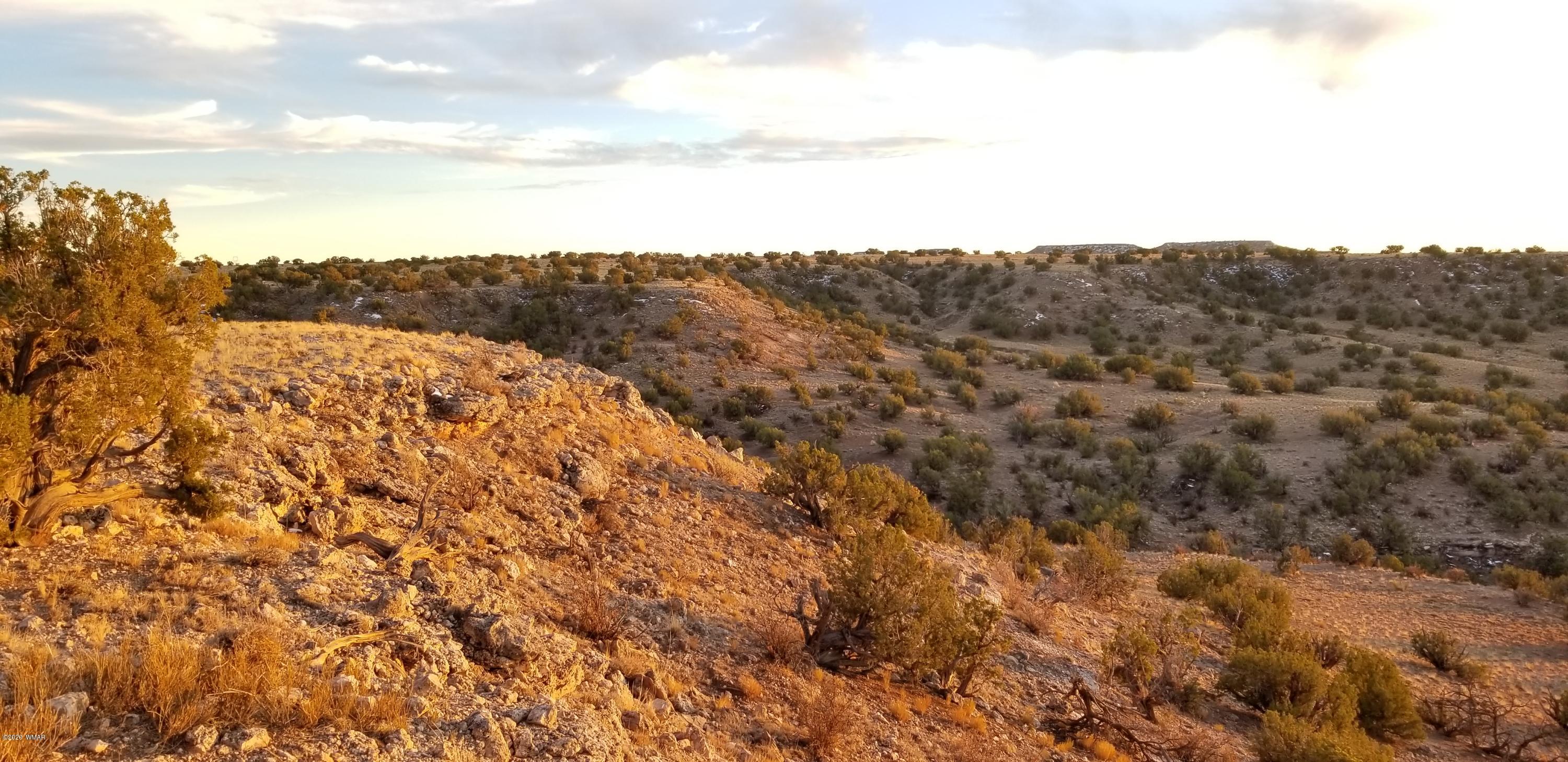 Lot 129 River Springs Ranch St. Johns, AZ 85936 - Photo 1 of 34