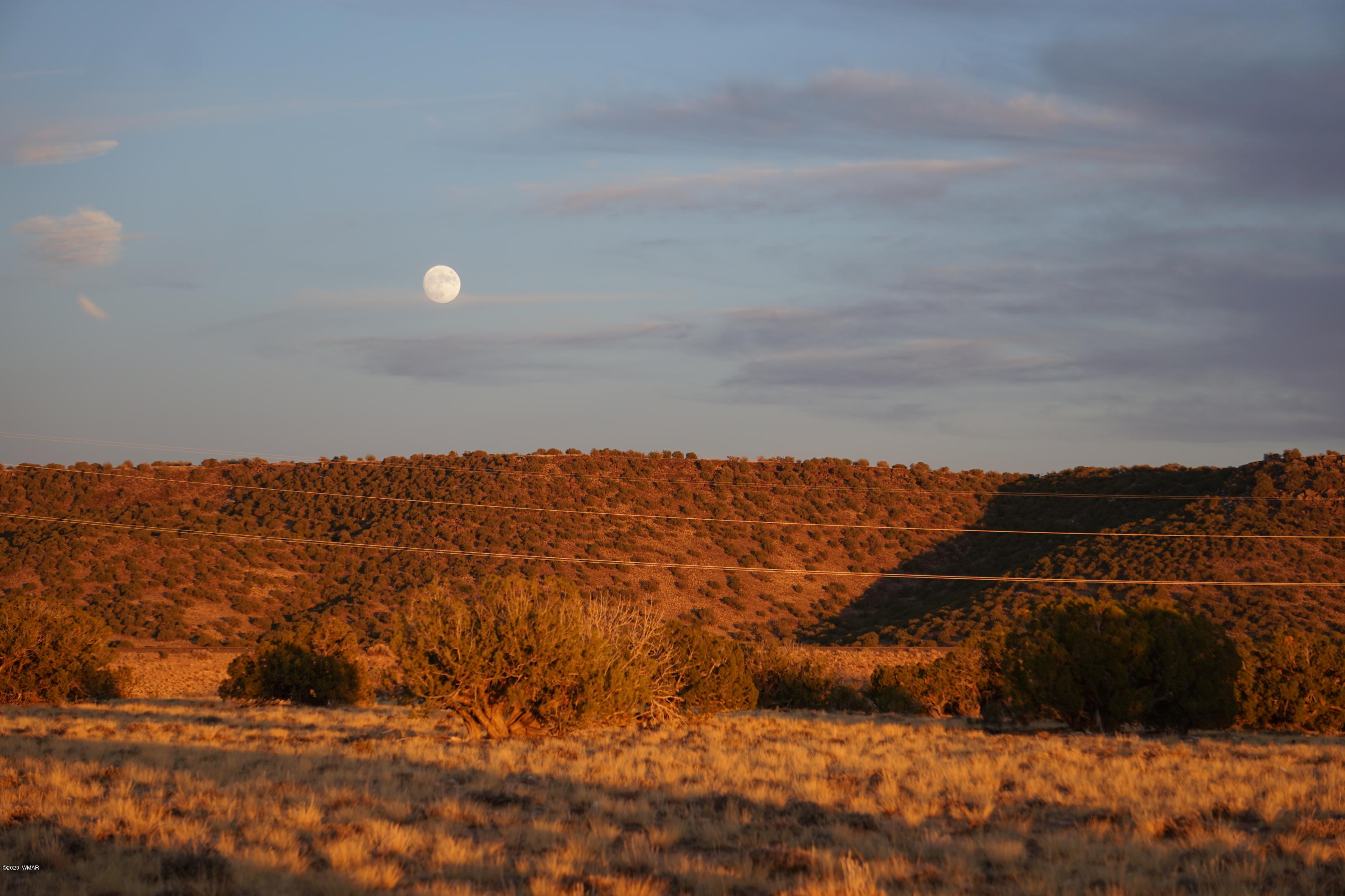 Lot 129 River Springs Ranch St. Johns, AZ 85936 - Photo 11 of 34