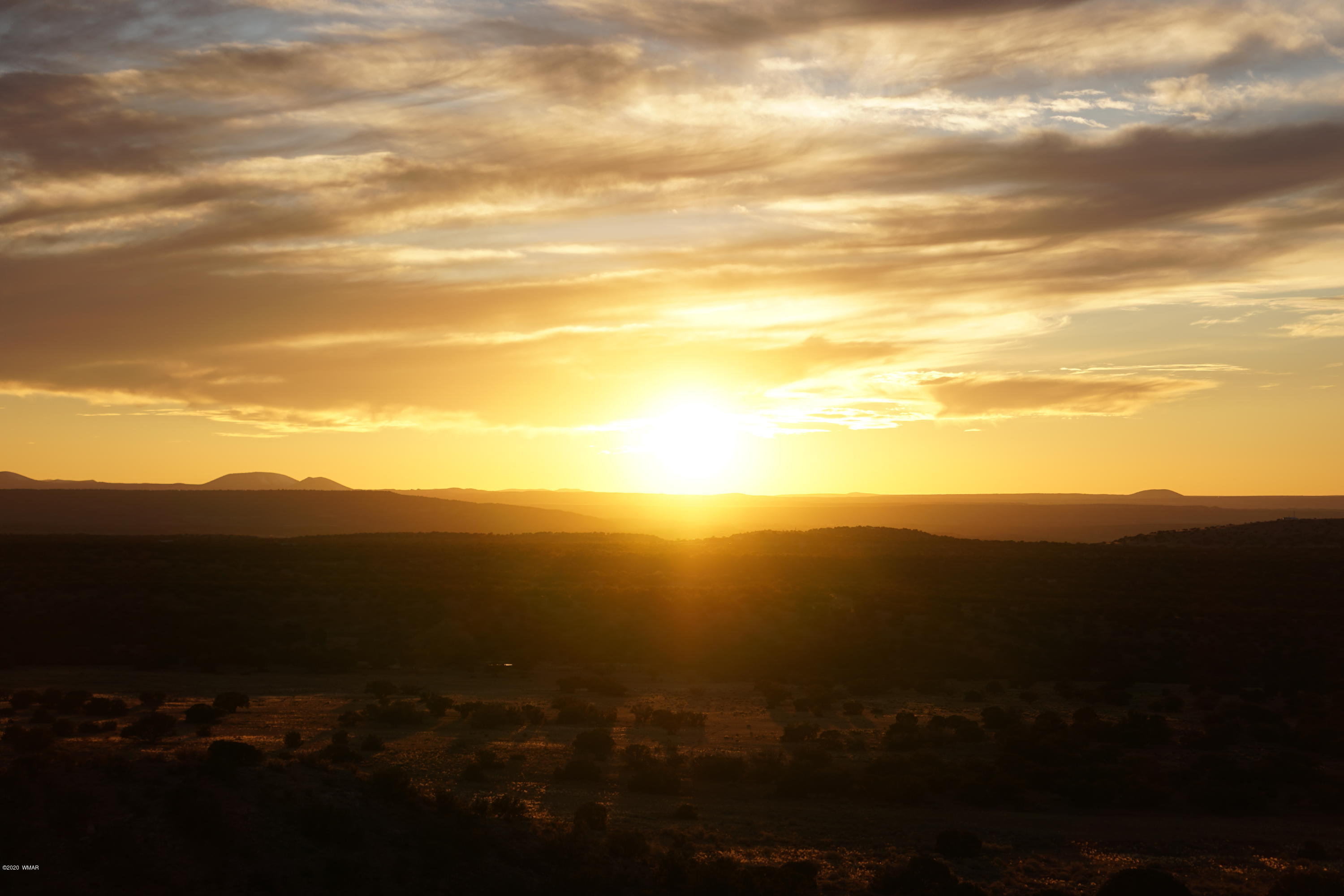 Lot 129 River Springs Ranch St. Johns, AZ 85936 - Photo 12 of 34