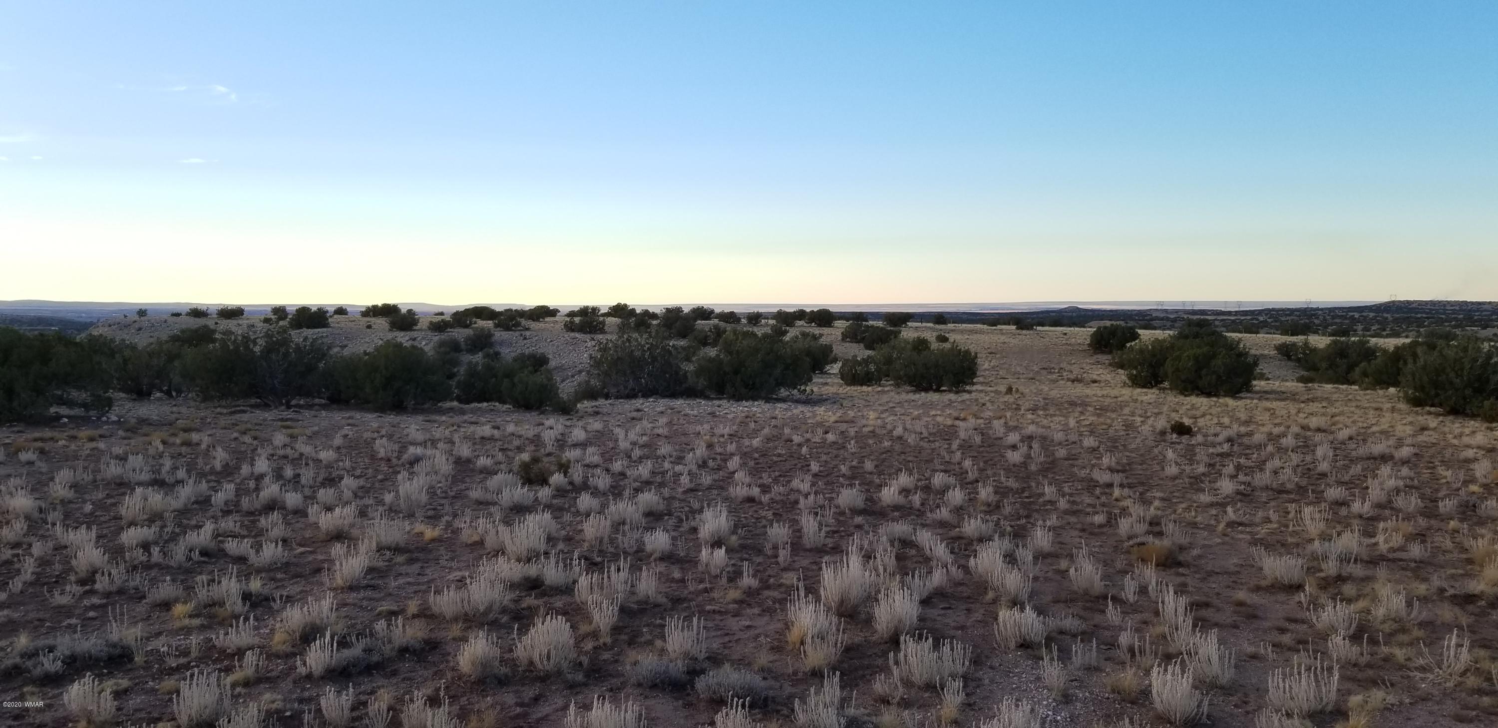 Lot 129 River Springs Ranch St. Johns, AZ 85936 - Photo 13 of 34