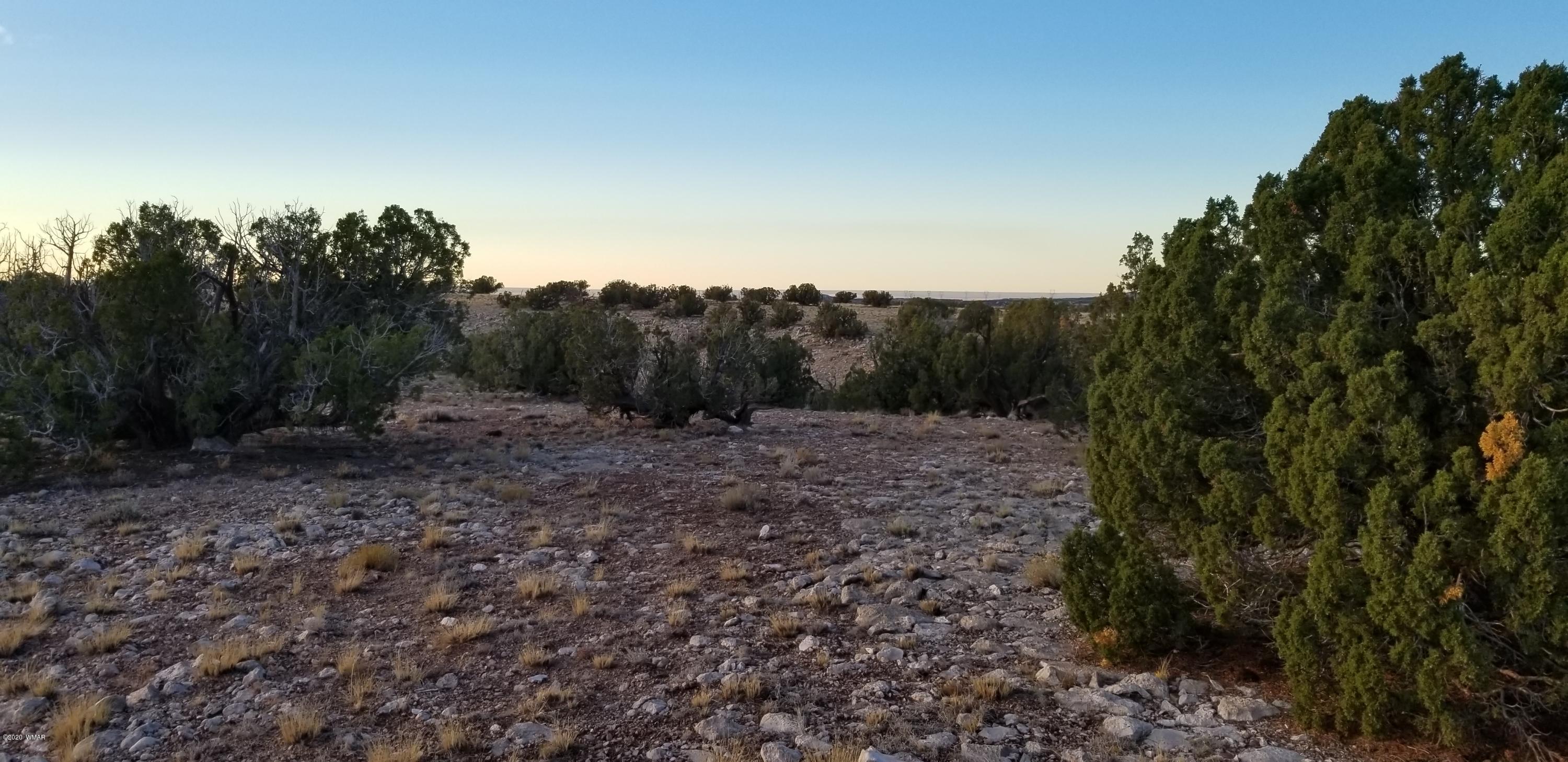 Lot 129 River Springs Ranch St. Johns, AZ 85936 - Photo 14 of 34