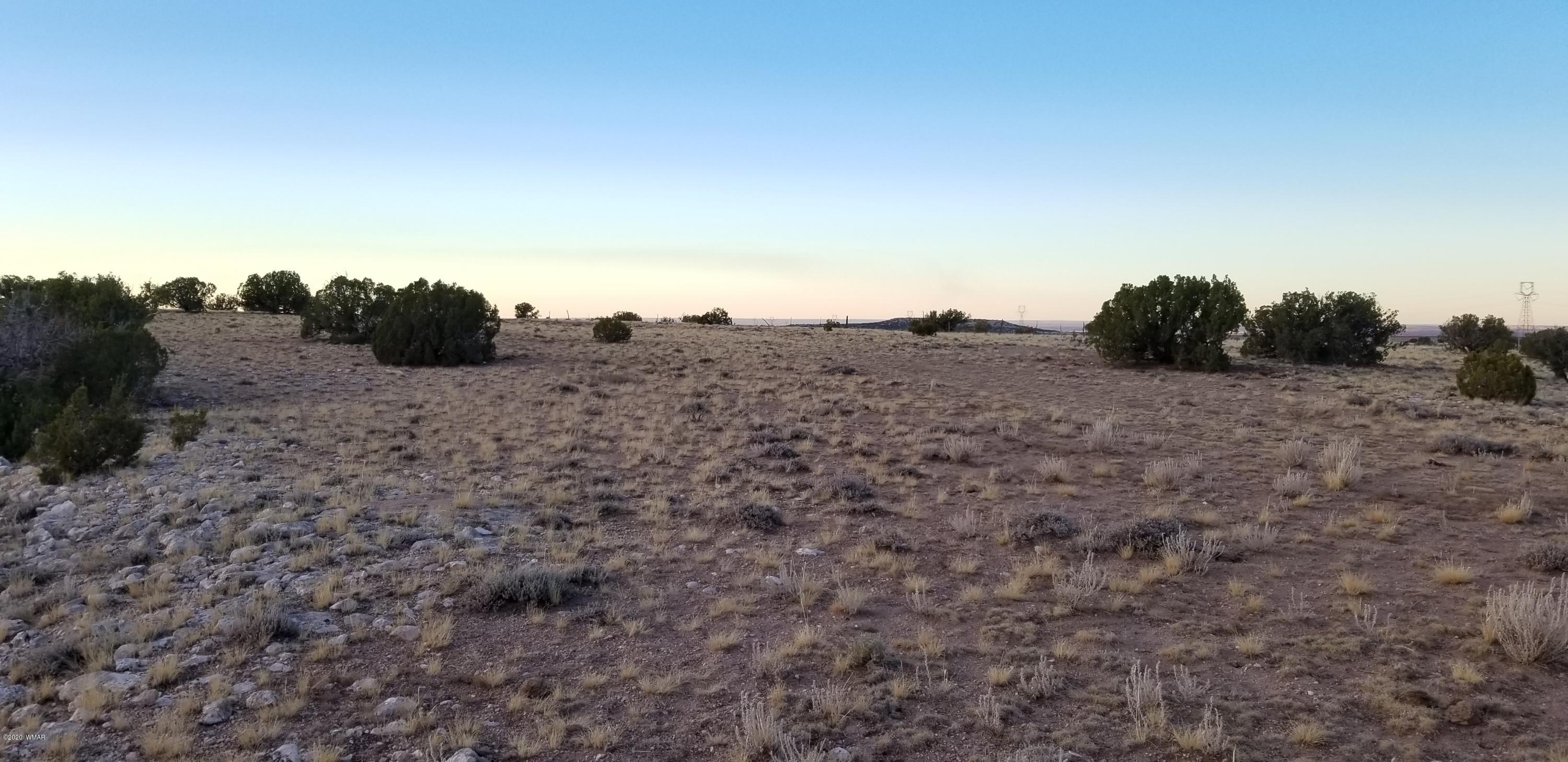 Lot 129 River Springs Ranch St. Johns, AZ 85936 - Photo 15 of 34