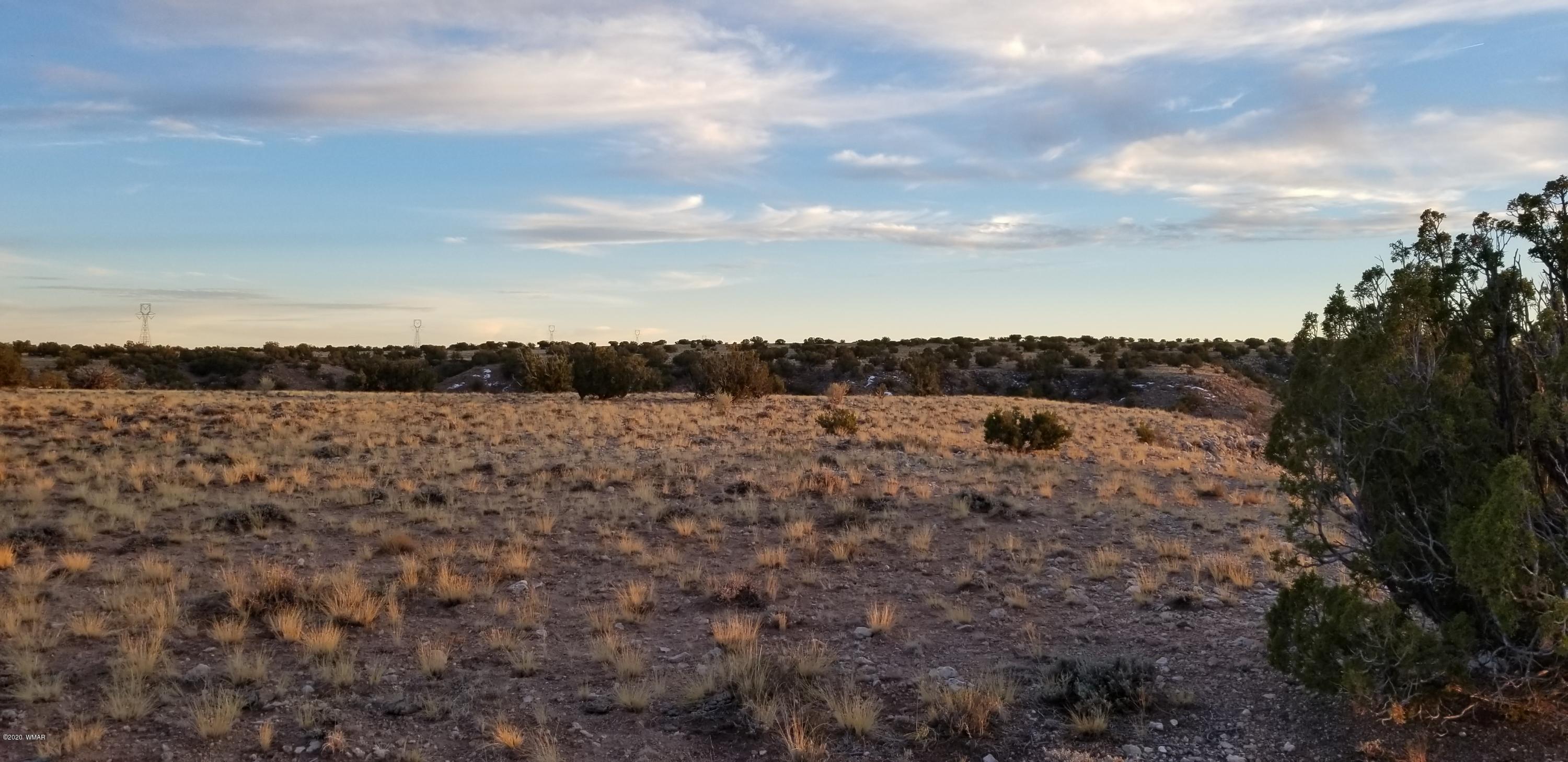 Lot 129 River Springs Ranch St. Johns, AZ 85936 - Photo 16 of 34