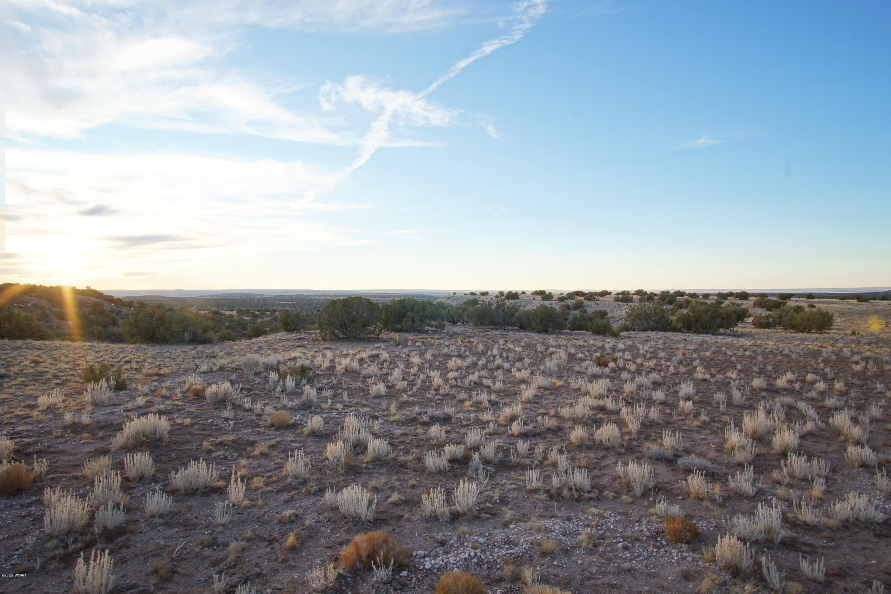 Lot 129 River Springs Ranch St. Johns, AZ 85936 - Photo 17 of 34