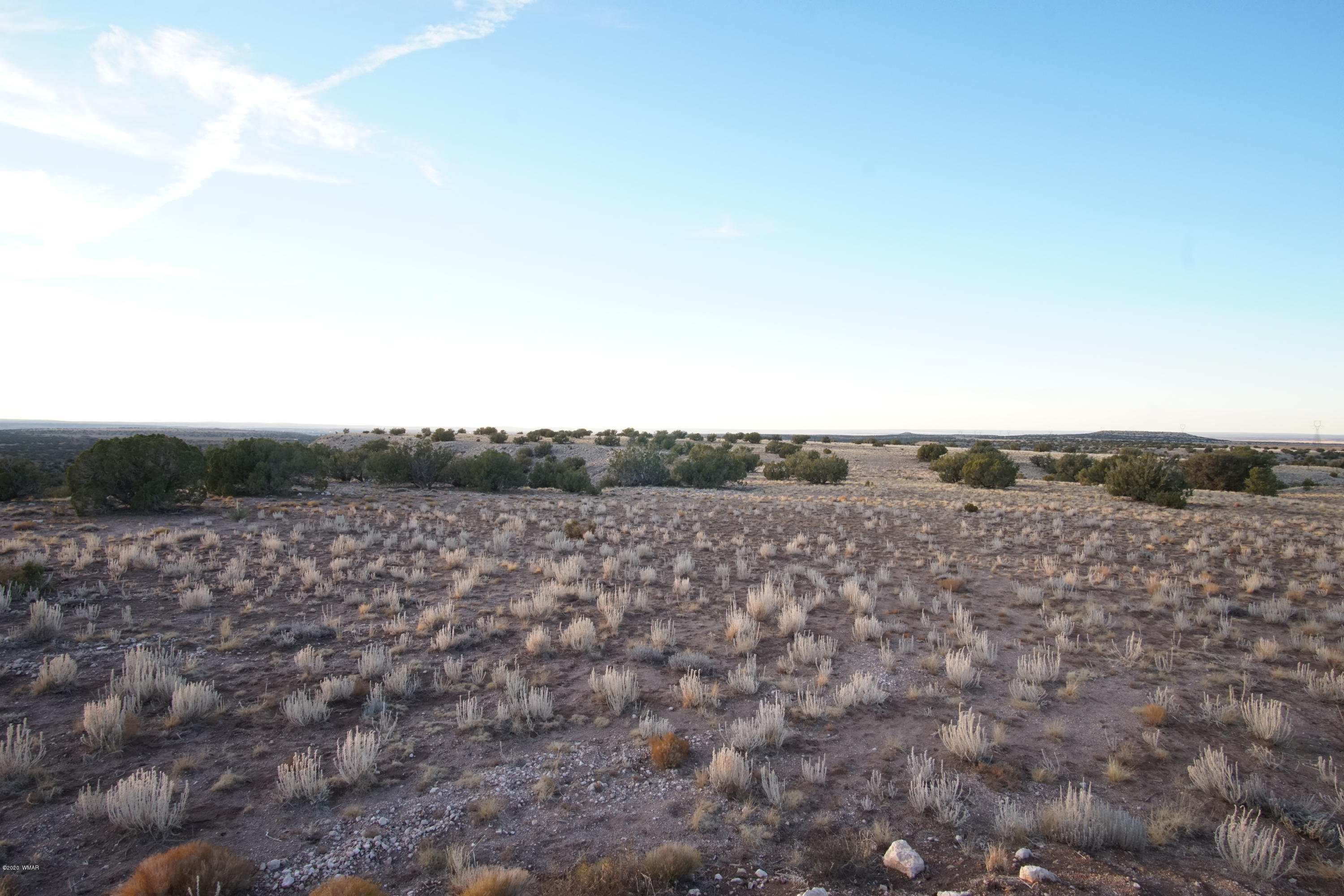 Lot 129 River Springs Ranch St. Johns, AZ 85936 - Photo 18 of 34