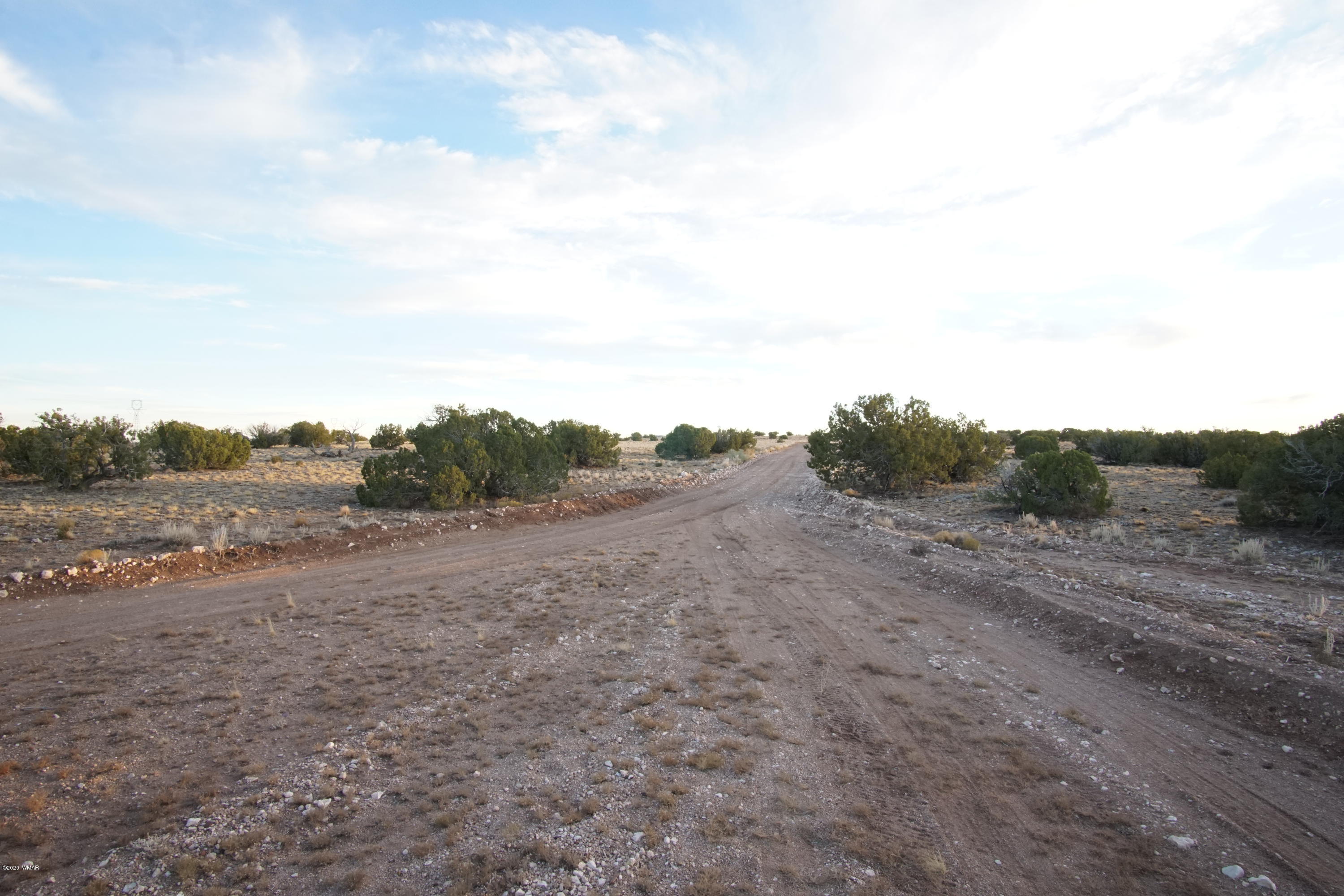 Lot 129 River Springs Ranch St. Johns, AZ 85936 - Photo 19 of 34