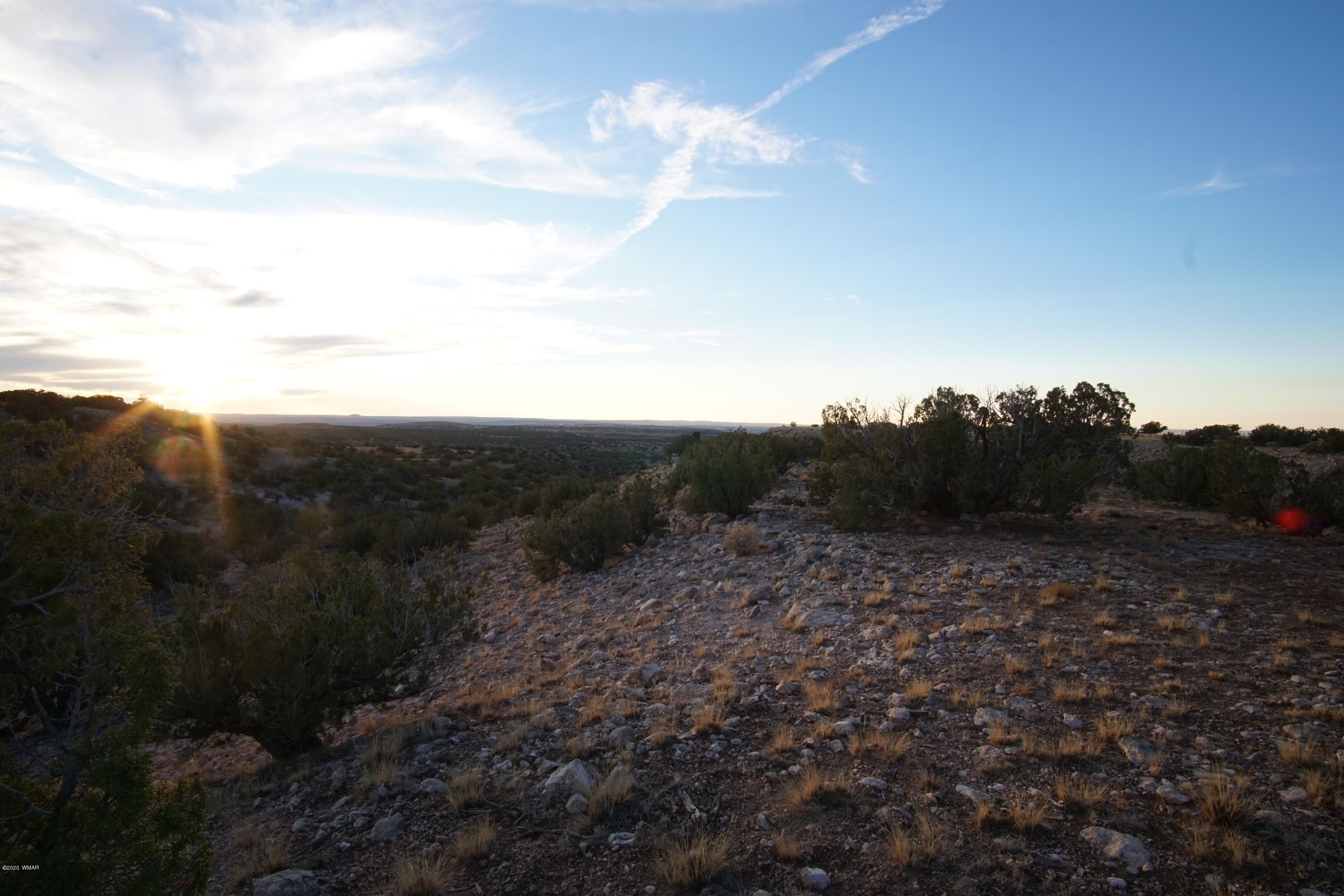 Lot 129 River Springs Ranch St. Johns, AZ 85936 - Photo 20 of 34