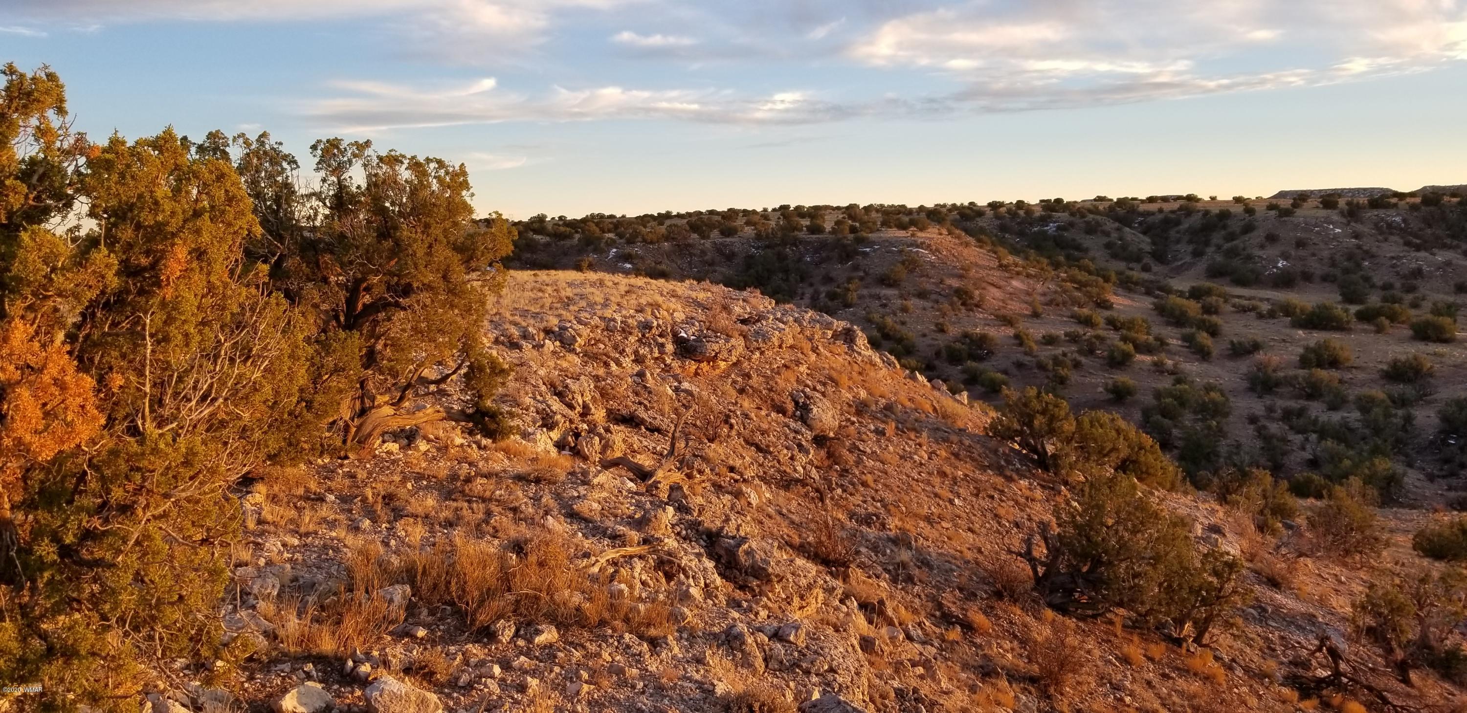 Lot 129 River Springs Ranch St. Johns, AZ 85936 - Photo 2 of 34
