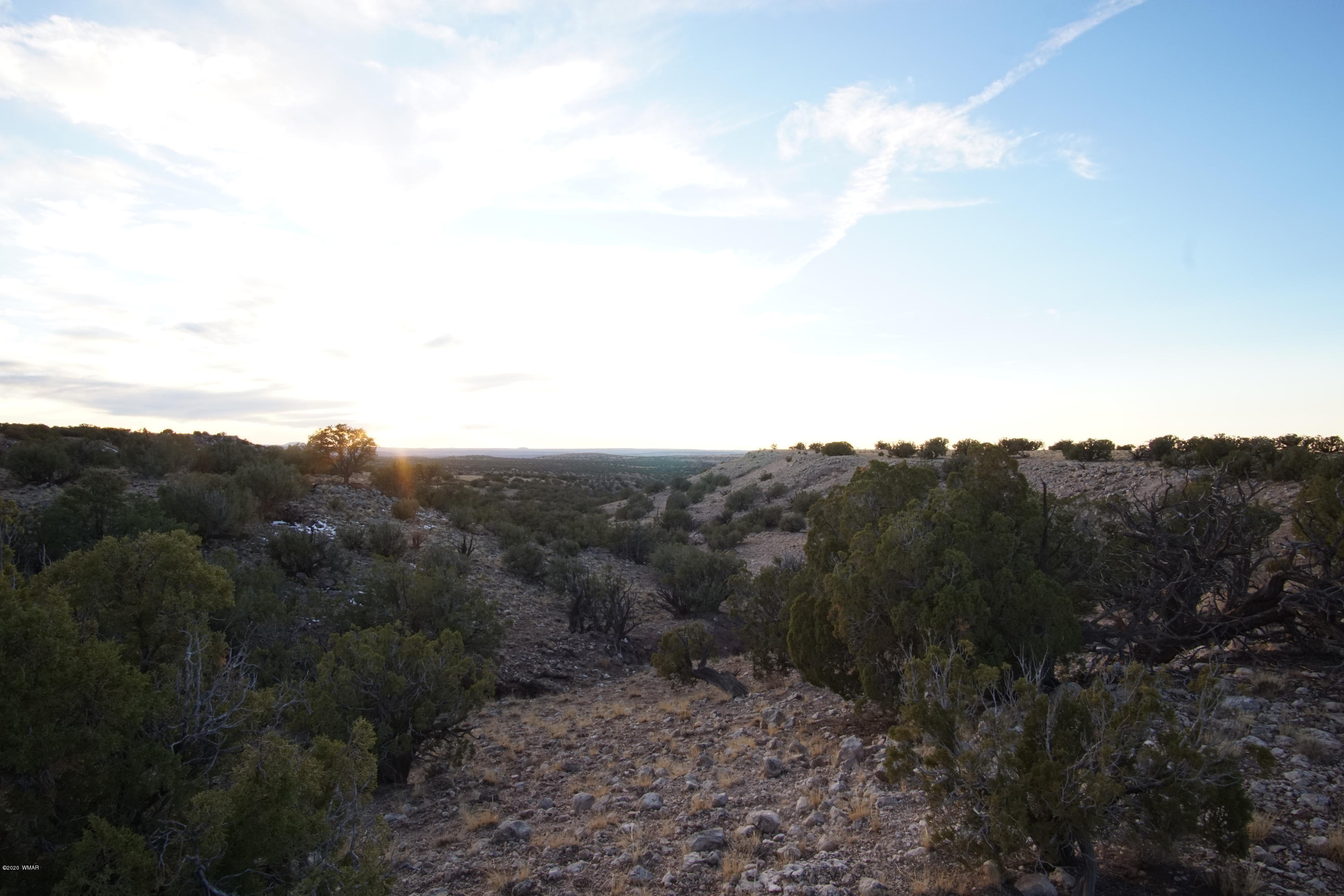 Lot 129 River Springs Ranch St. Johns, AZ 85936 - Photo 21 of 34