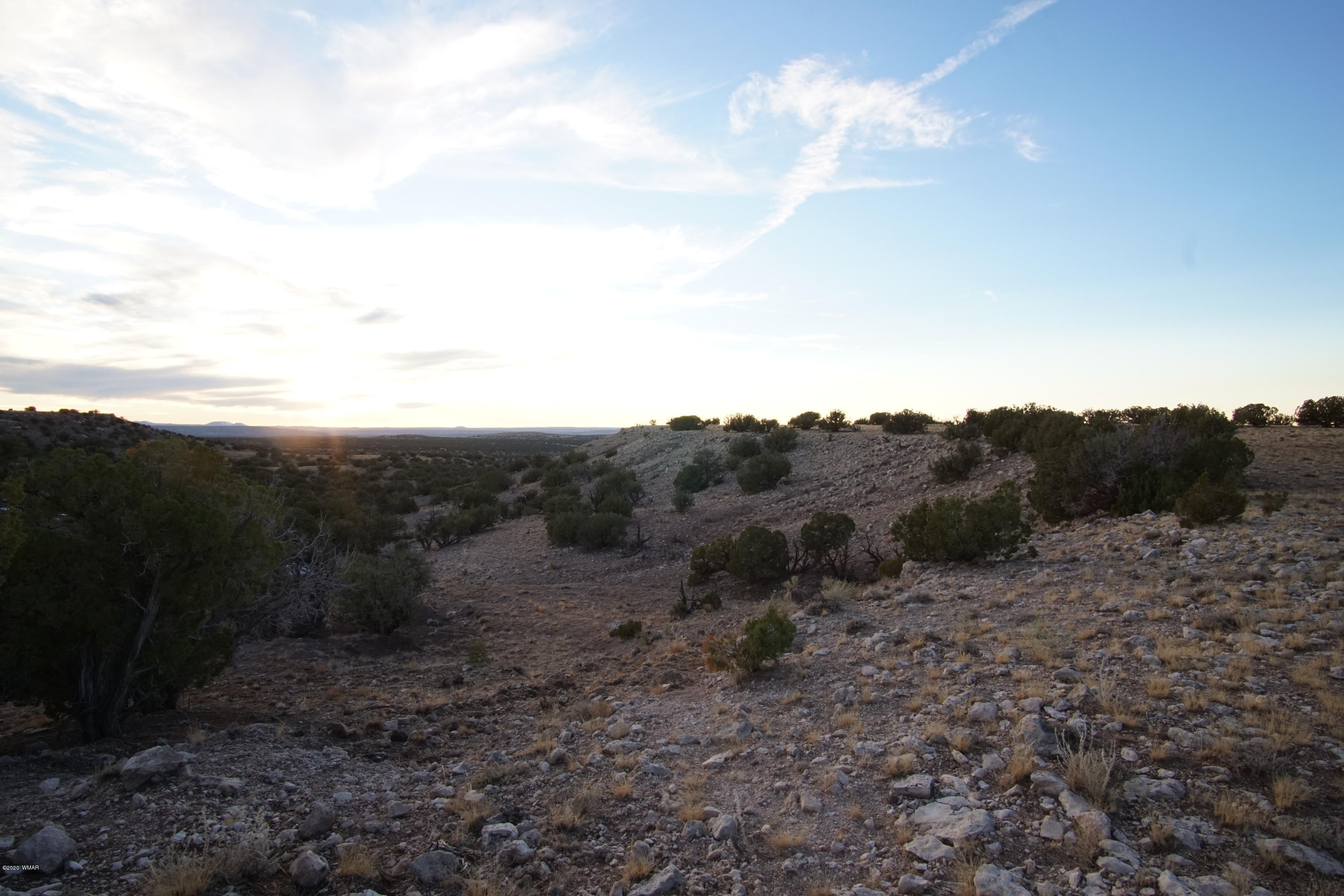 Lot 129 River Springs Ranch St. Johns, AZ 85936 - Photo 22 of 34