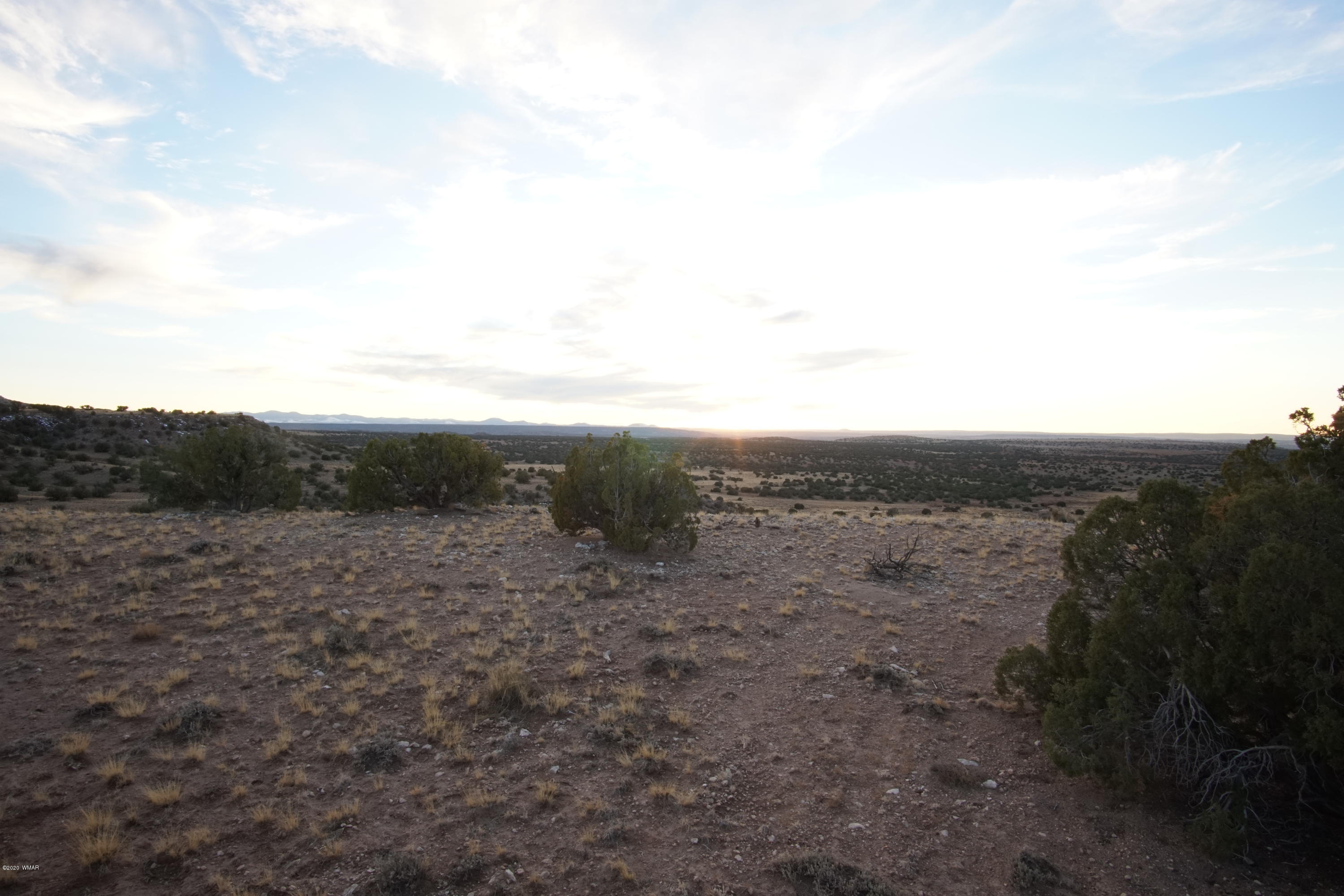 Lot 129 River Springs Ranch St. Johns, AZ 85936 - Photo 23 of 34