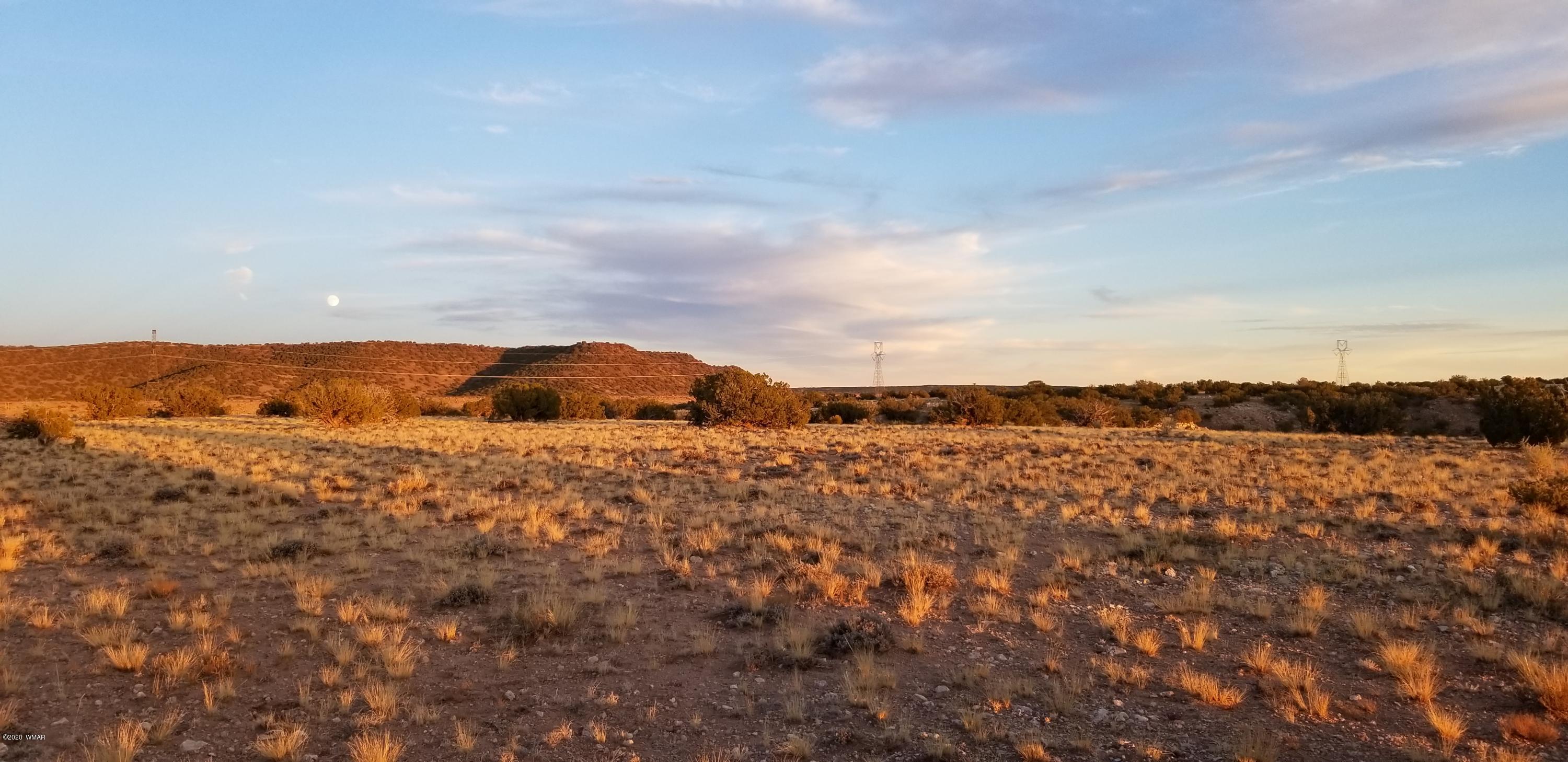 Lot 129 River Springs Ranch St. Johns, AZ 85936 - Photo 3 of 34