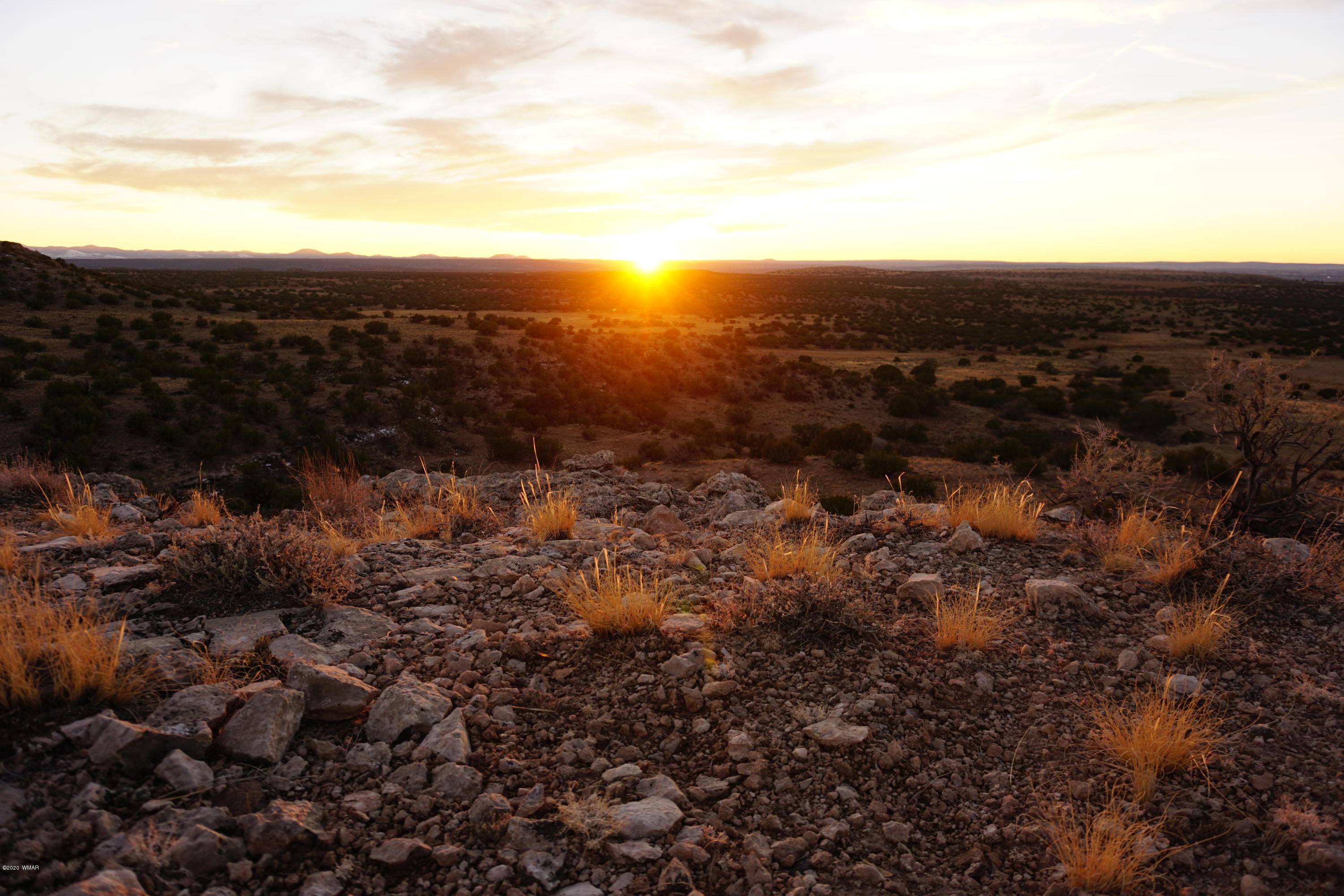 Lot 129 River Springs Ranch St. Johns, AZ 85936 - Photo 32 of 34