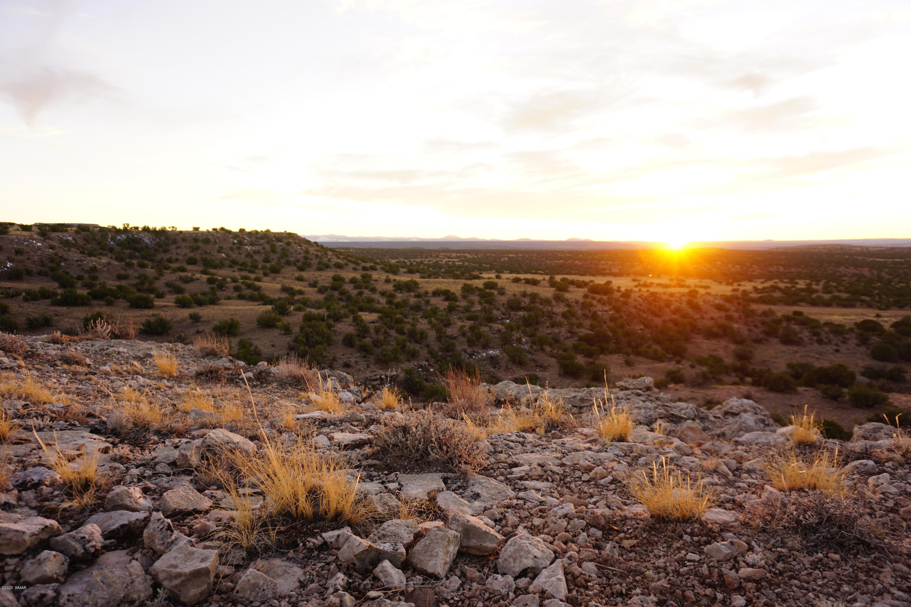 Lot 129 River Springs Ranch St. Johns, AZ 85936 - Photo 33 of 34