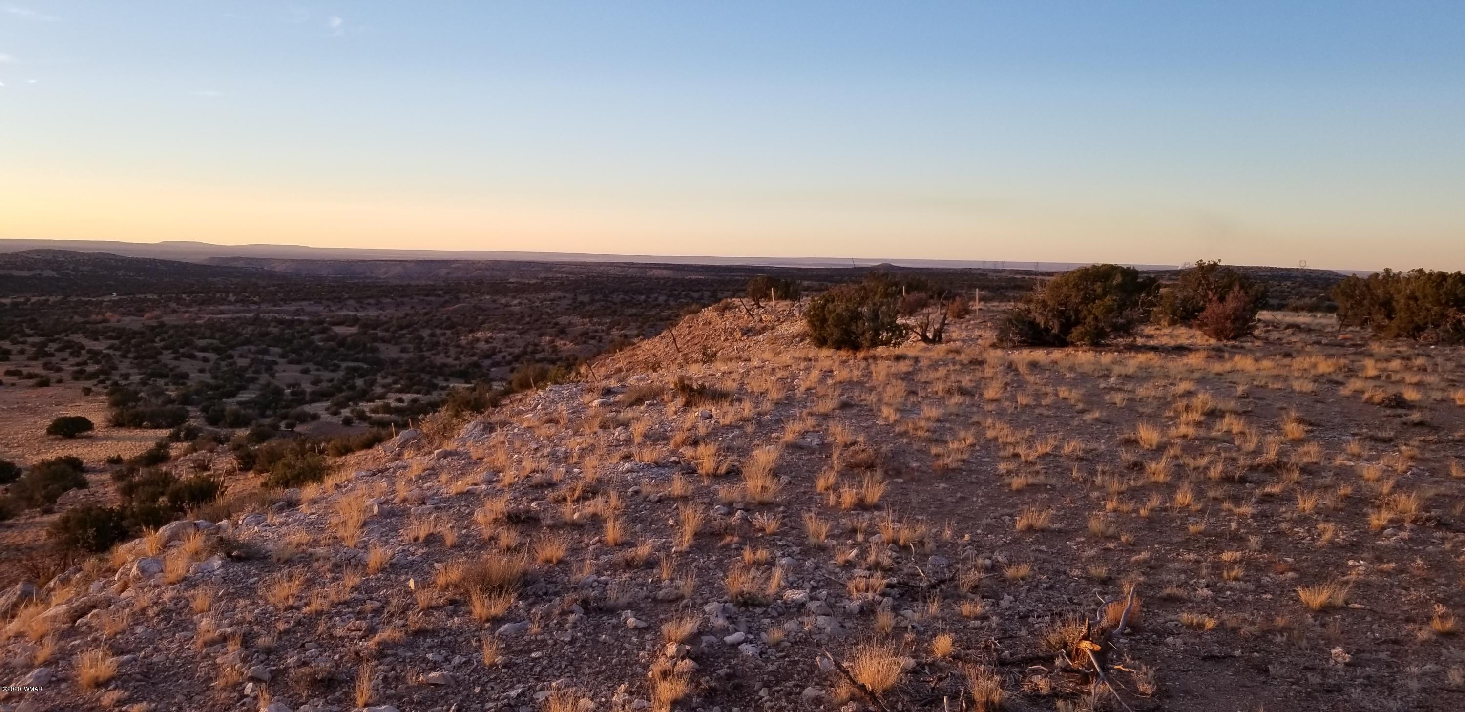 Lot 129 River Springs Ranch St. Johns, AZ 85936 - Photo 4 of 34