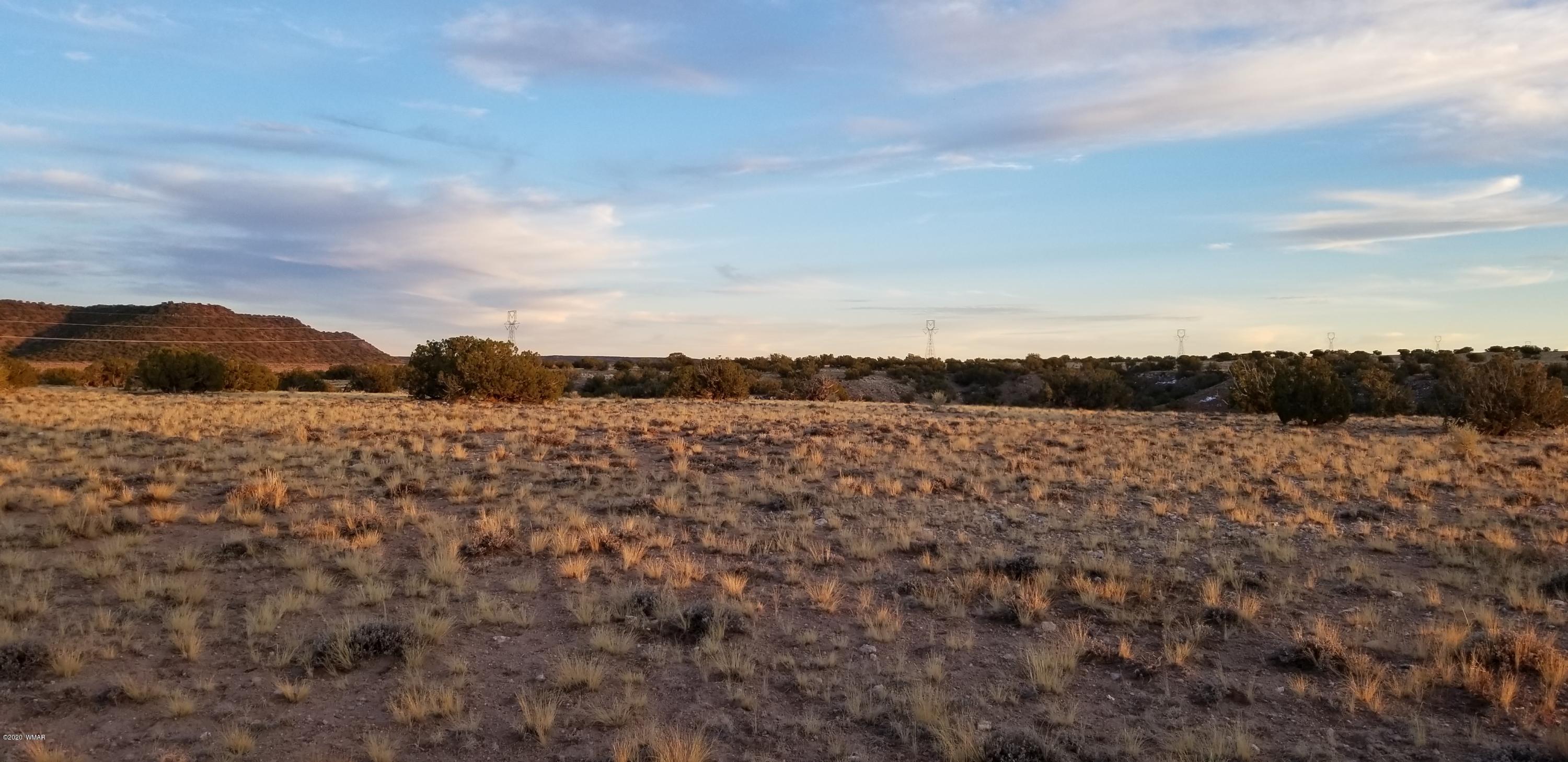 Lot 129 River Springs Ranch St. Johns, AZ 85936 - Photo 5 of 34