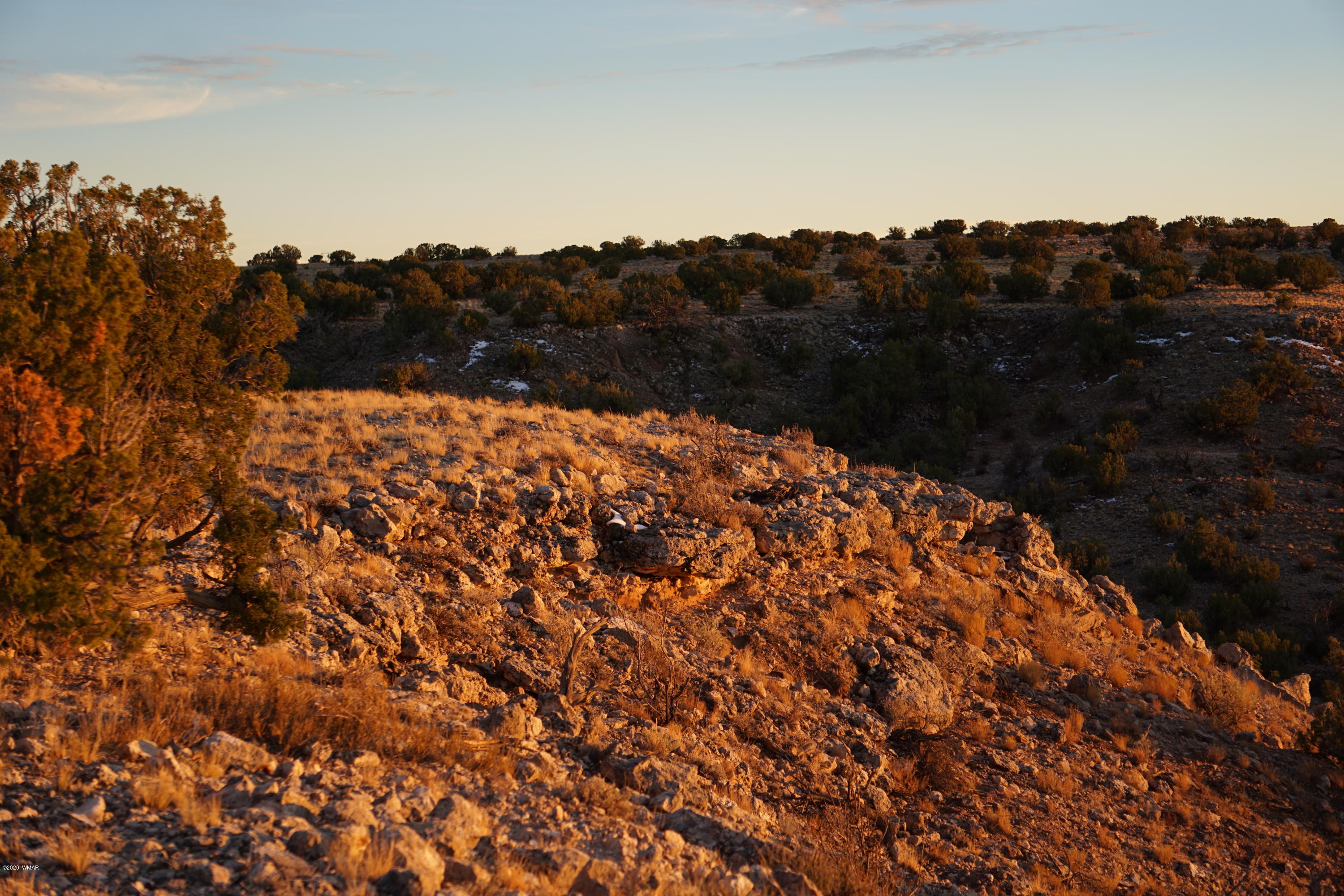 Lot 129 River Springs Ranch St. Johns, AZ 85936 - Photo 7 of 34