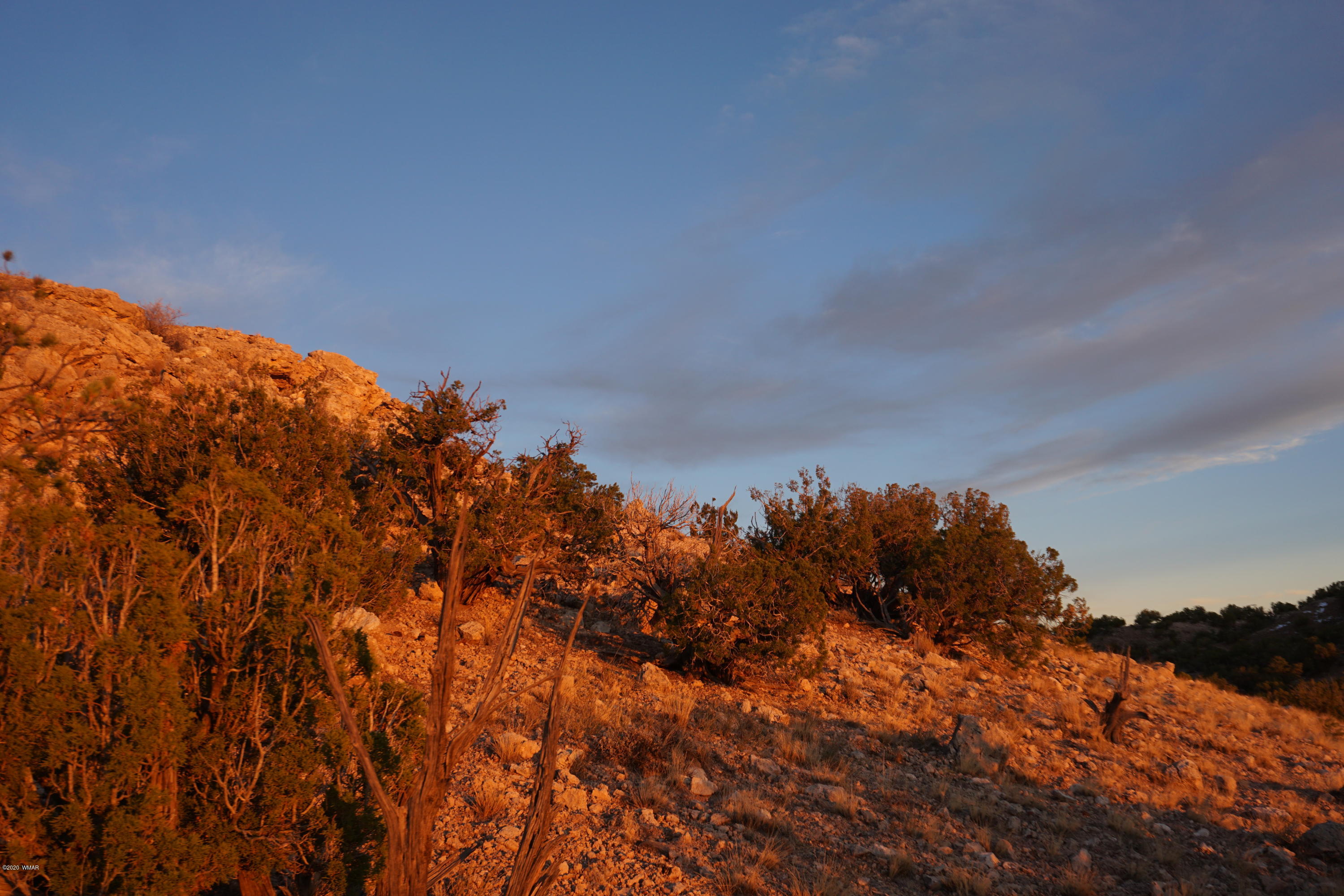 Lot 129 River Springs Ranch St. Johns, AZ 85936 - Photo 9 of 34