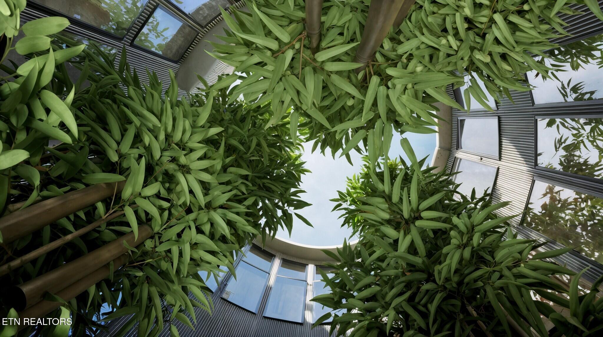 Lower Alpine Way Gatlinburg, TN 37738 - Photo 13 of 20 Garden