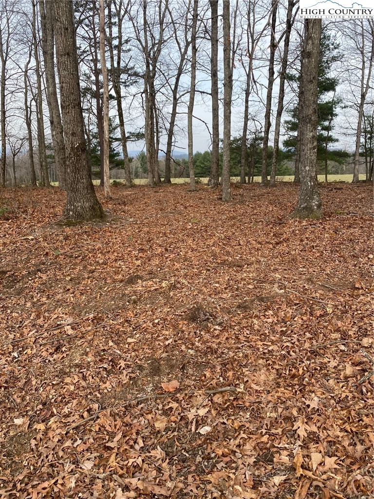 48 Saddle Mountain Church Road Ennice, NC 28623 - Photo 11 of 24 a backyard of a house with lots of green space
