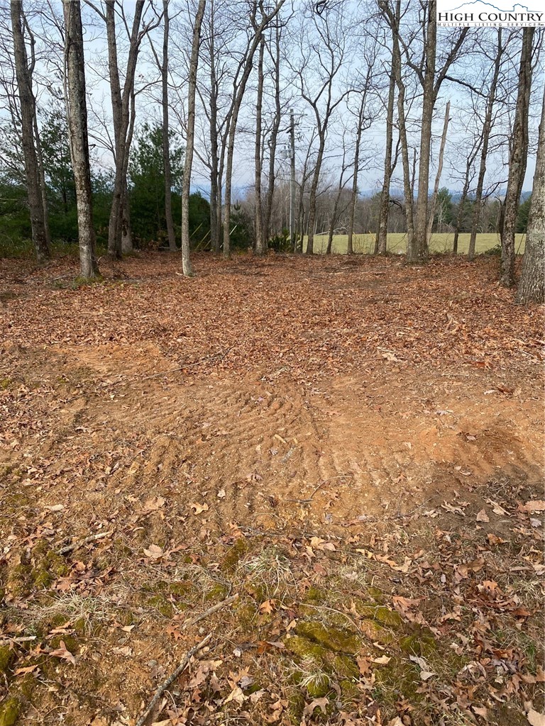 48 Saddle Mountain Church Road Ennice, NC 28623 - Photo 15 of 24 a view of a yard with trees