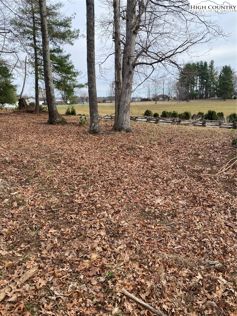 48 Saddle Mountain Church Road Ennice, NC 28623 - Photo 17 of 24 a view of a yard with large trees