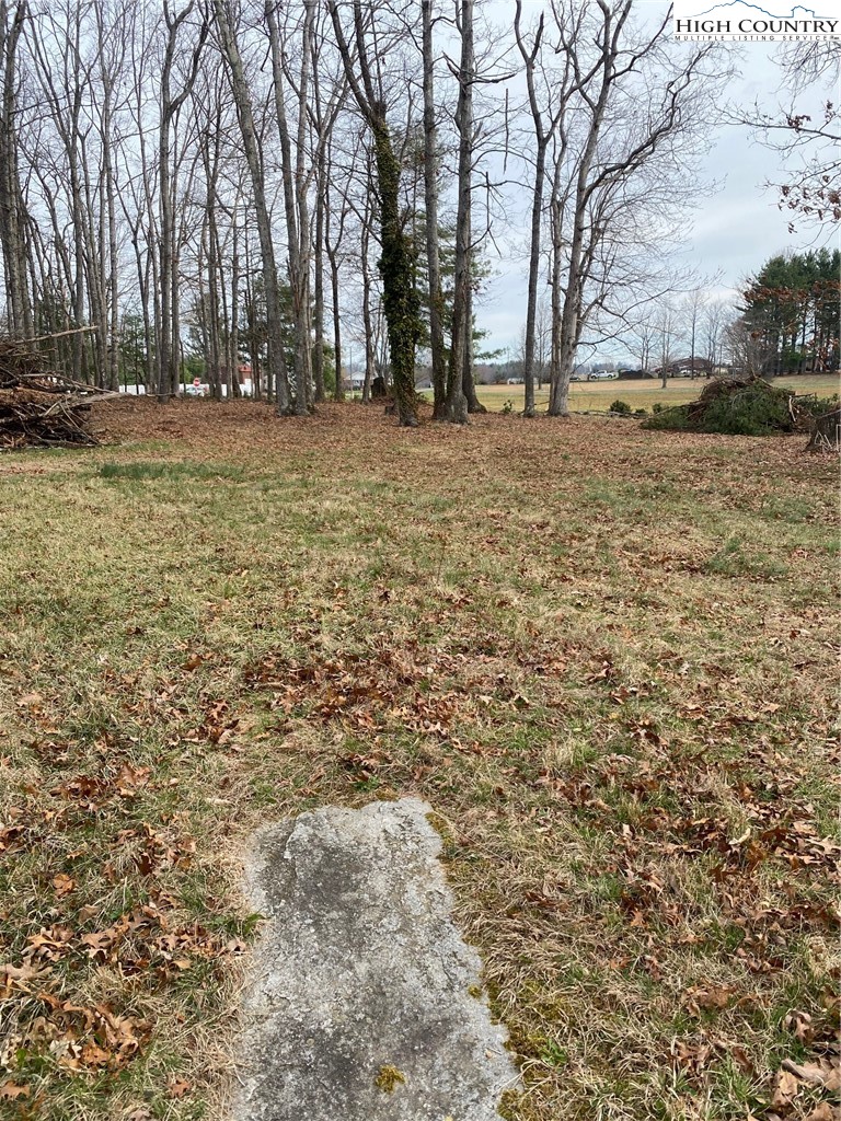 48 Saddle Mountain Church Road Ennice, NC 28623 - Photo 5 of 24 a view of open space with trees
