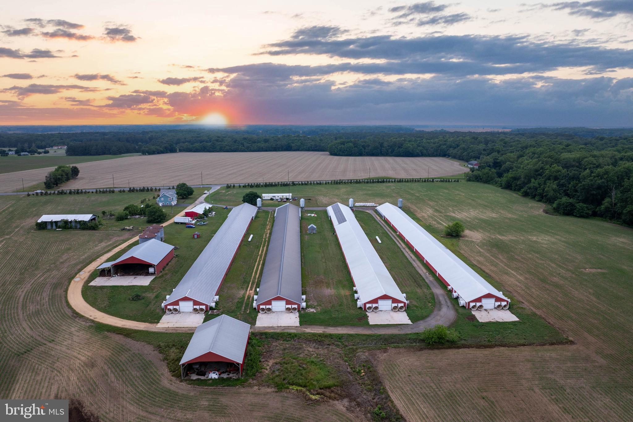 7347 Harmony Road Preston, MD 21655 - Photo 5 of 63 Aerial View of Farm & House