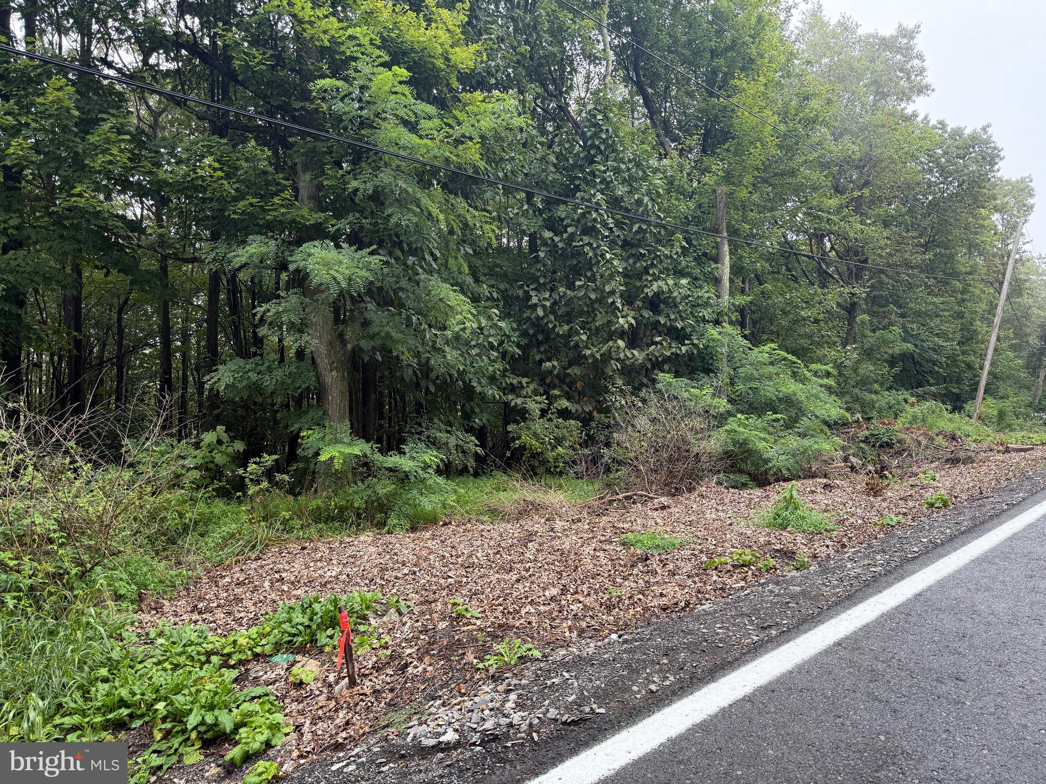 0 Pinnacle Road Keyser, WV 26726 - Photo 48 of 61