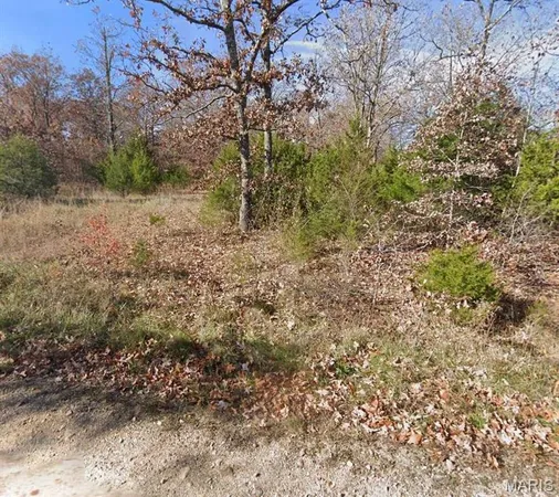 $28,900 | 0 Elm Drive, Plato, MO 65552