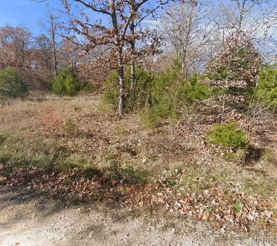 $30,900 | 0 Elm Drive, Plato, MO 65552