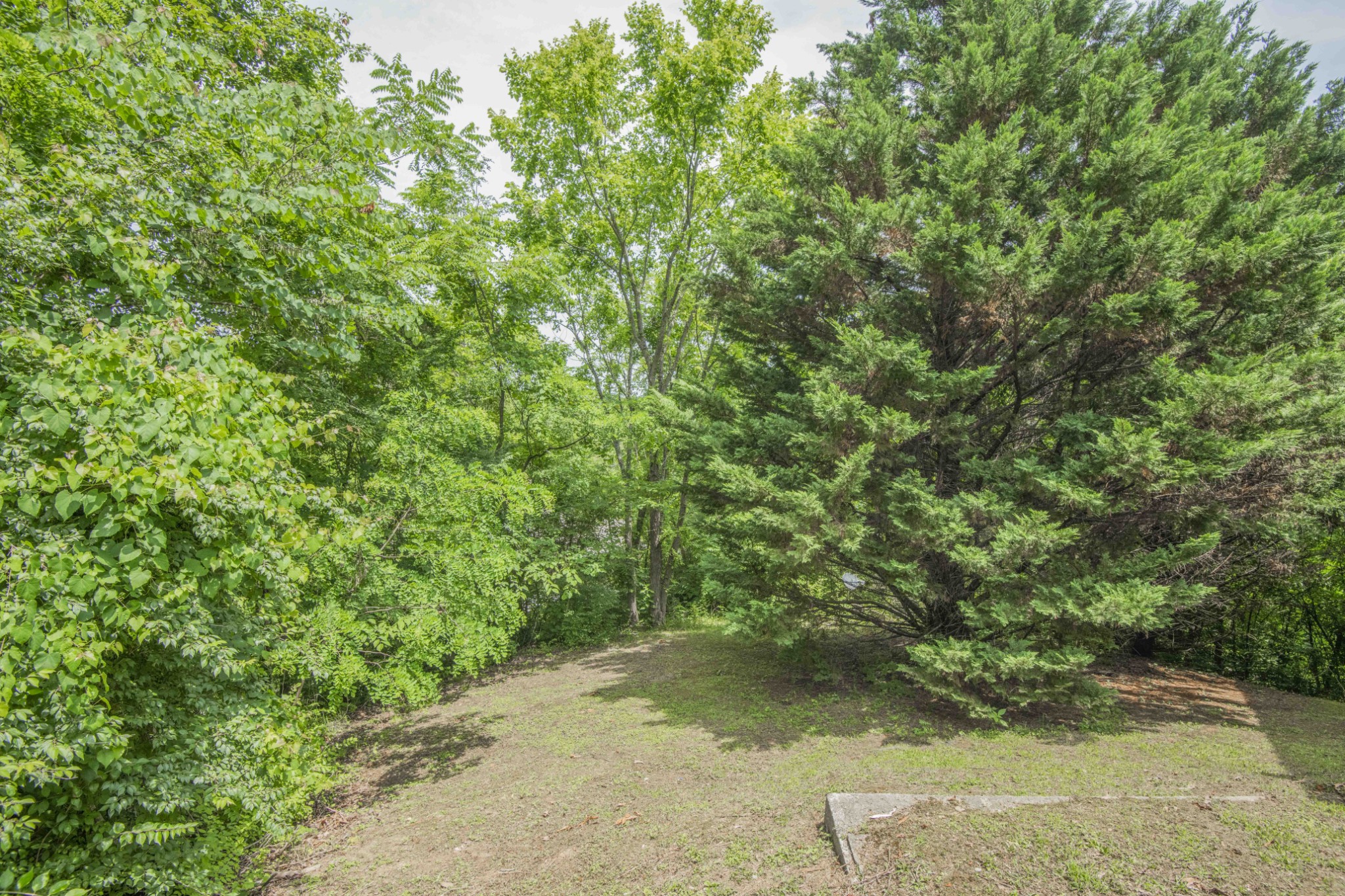 1615 Paradise Ridge Drive Sevierville, TN 37862 - Photo 36 of 38