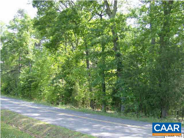 4830 Free Union Road Free Union, VA 22940 - Photo 11 of 17 a view of a street with a tree