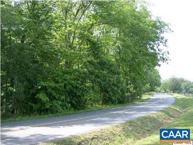 4830 Free Union Road Free Union, VA 22940 - Photo 12 of 17 a view of yard with green space