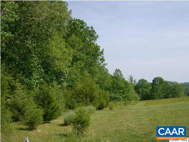 4830 Free Union Road Free Union, VA 22940 - Photo 5 of 17 a view of a lush green field