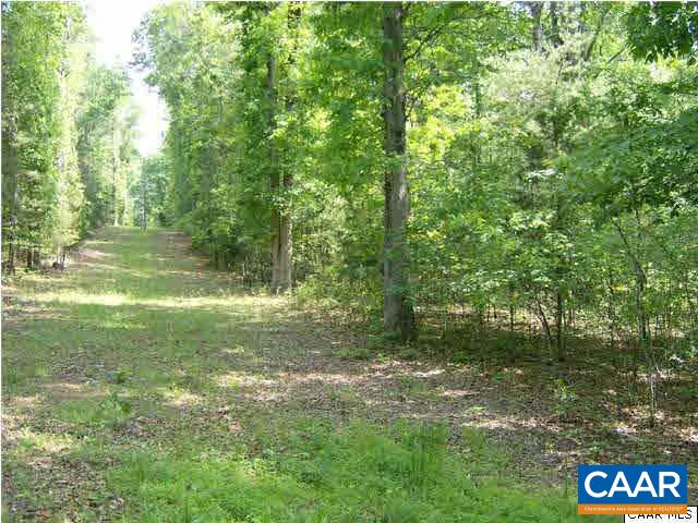 4830 Free Union Road Free Union, VA 22940 - Photo 6 of 17 a view of a trees in a yard