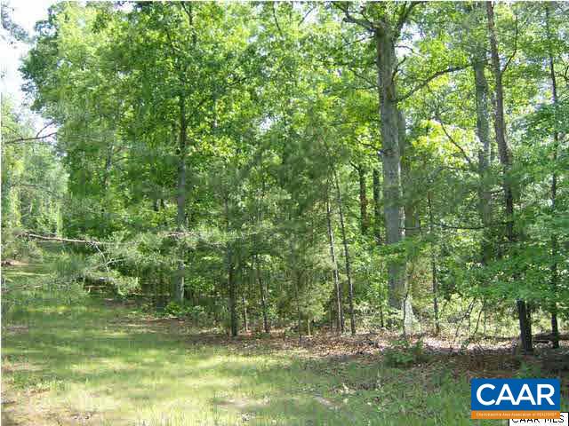 4830 Free Union Road Free Union, VA 22940 - Photo 8 of 17 a view of backyard with green space