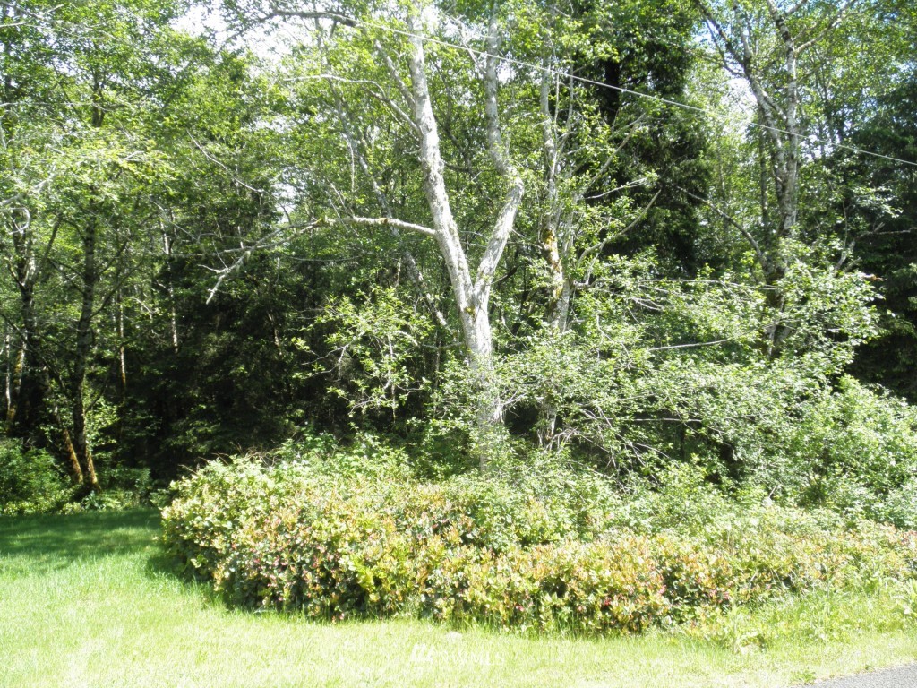 0 303xx Stackpole Road East Ocean Park, WA 98640 - Photo 2 of 8 Gallery Image 2