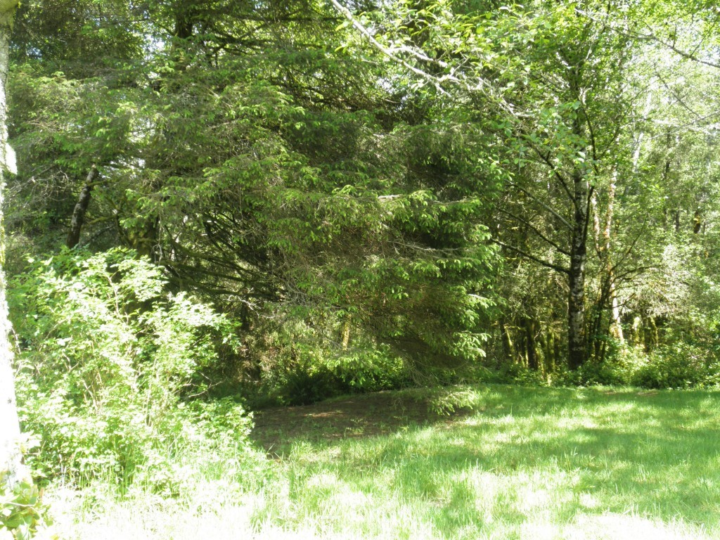 0 303xx Stackpole Road East Ocean Park, WA 98640 - Photo 4 of 8 Gallery Image 4