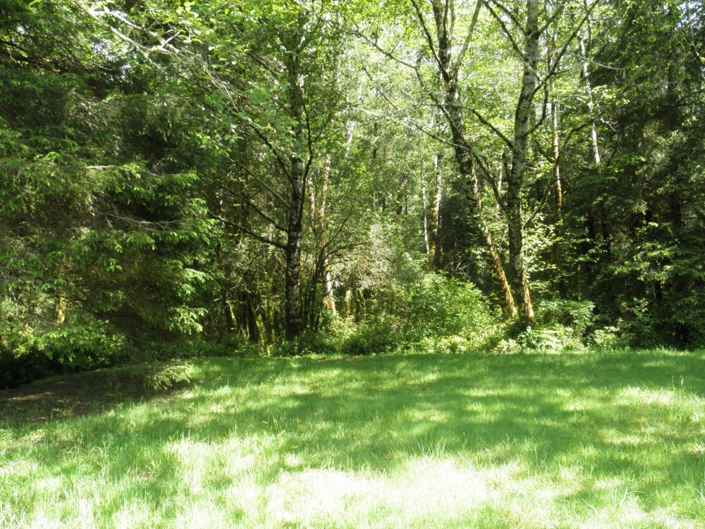 0 303xx Stackpole Road East Ocean Park, WA 98640 - Photo 5 of 8 Gallery Image 5