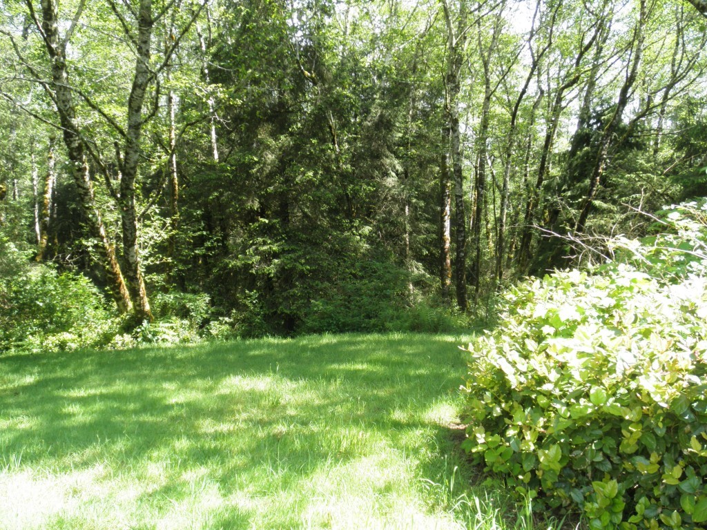0 303xx Stackpole Road East Ocean Park, WA 98640 - Photo 6 of 8 Gallery Image 6