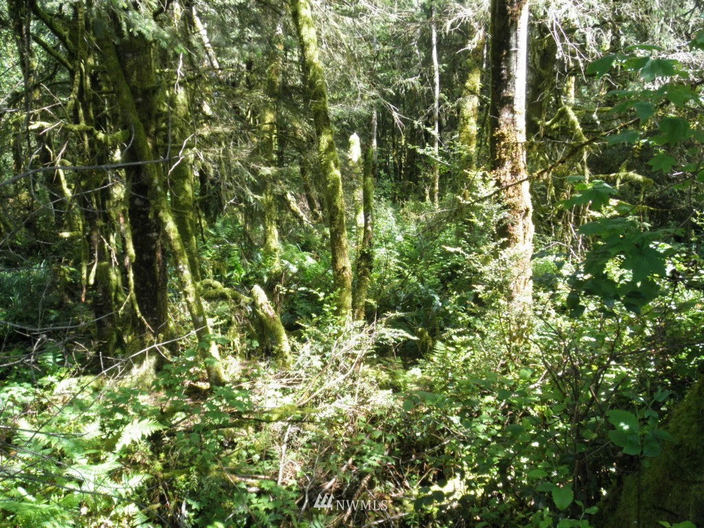 0 303xx Stackpole Road East Ocean Park, WA 98640 - Photo 7 of 8 Gallery Image 7