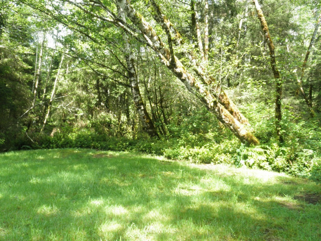 0 303xx Stackpole Road East Ocean Park, WA 98640 - Photo 8 of 8 Gallery Image 8
