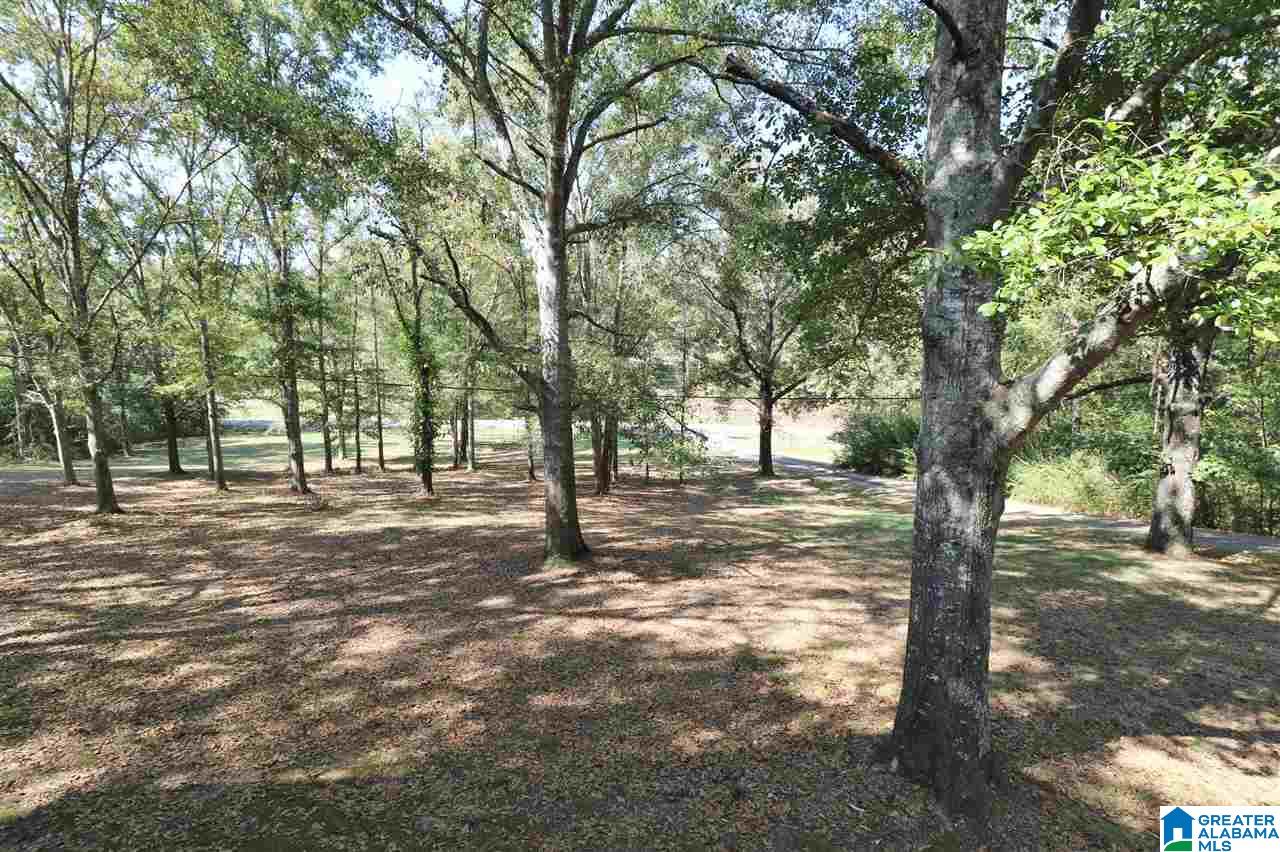 249 Greensport Road Ashville, AL 35953 - Photo 40 of 40