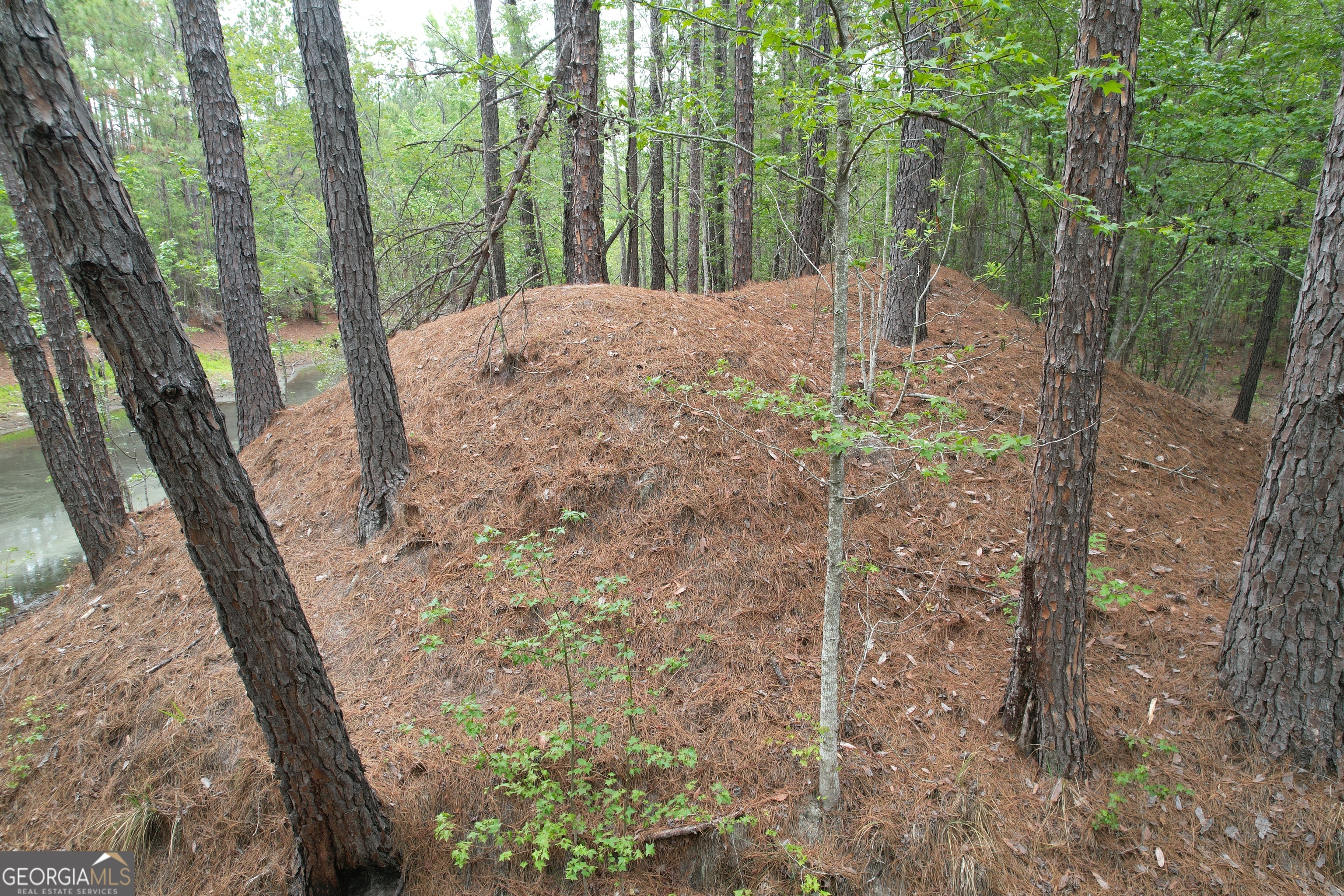 1.5-acres Mt Pleasant Road Clyo, GA 31303 - Photo 9 of 19