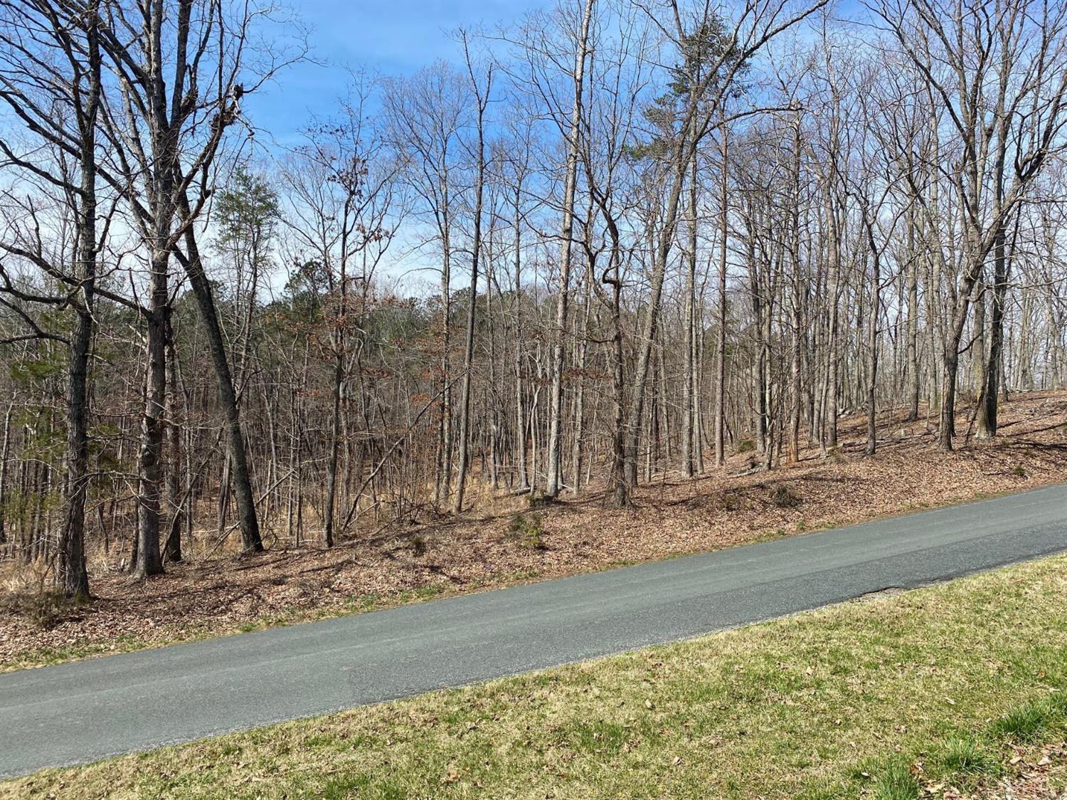 2-lot Country Club Road Appomattox, VA 24522 - Photo 2 of 10 a view of a snow on the side of the road